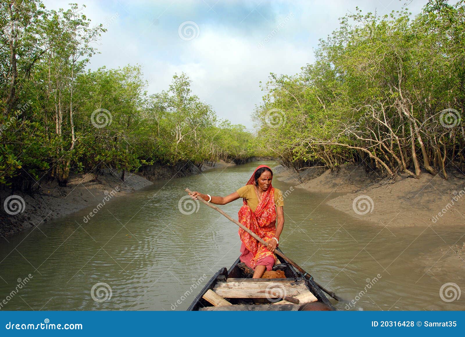 Struggle for Survival editorial stock photo. Image of morning