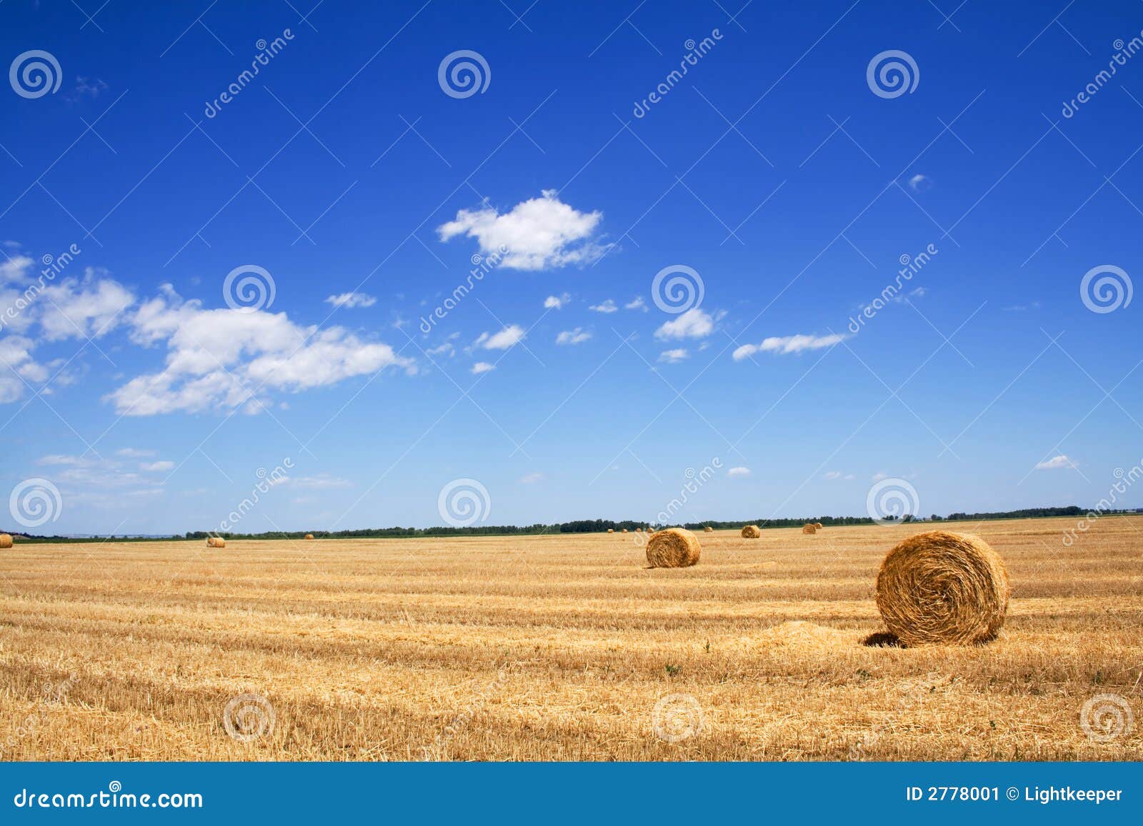 stubble field and hay bales