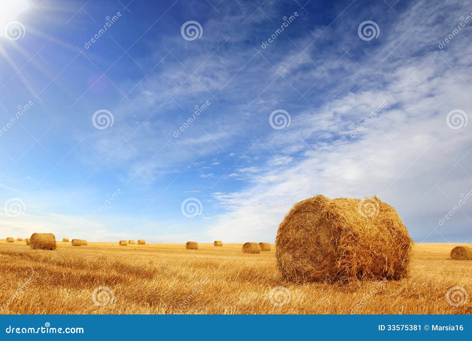 stubble field and hay bales