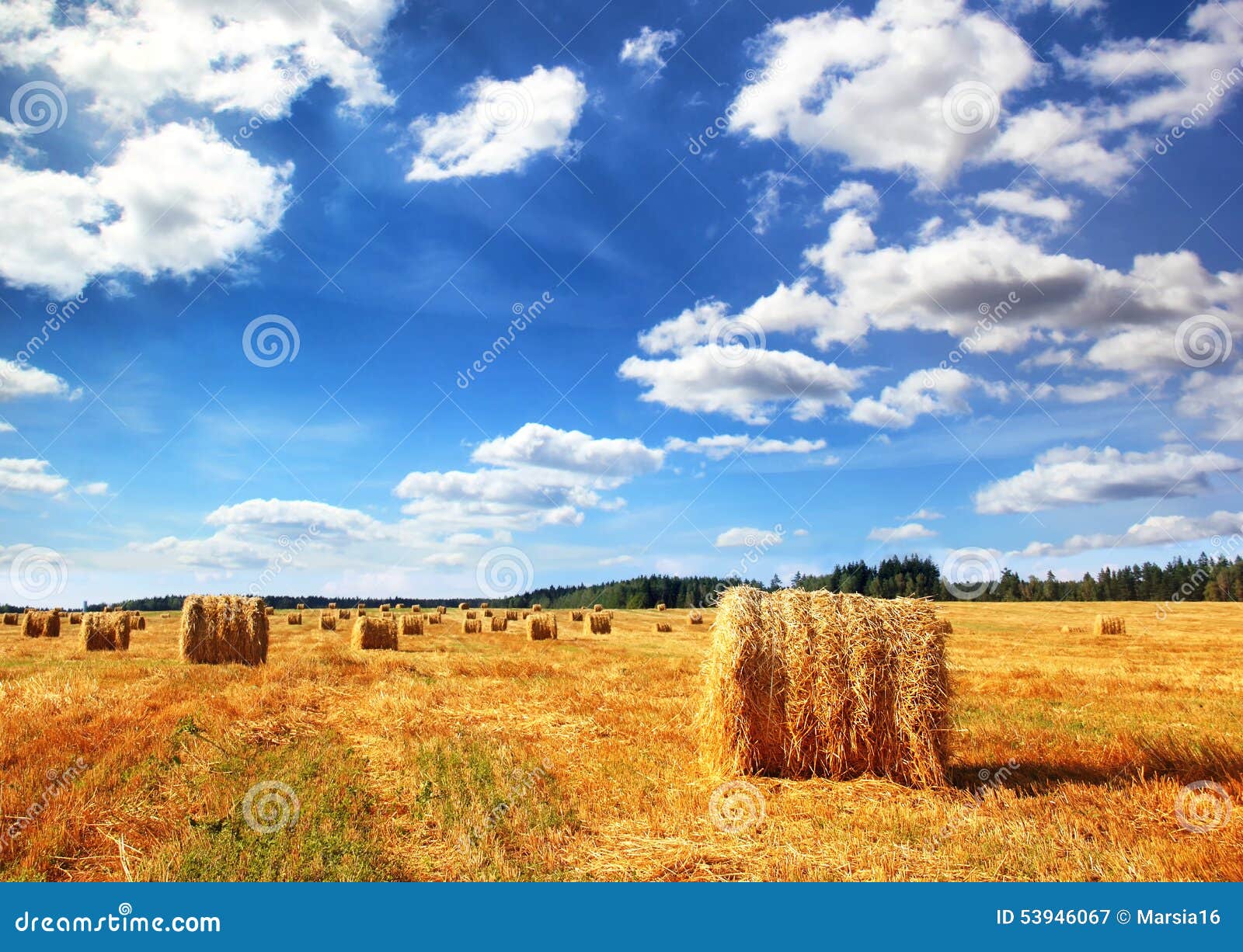 stubble field and hay bales