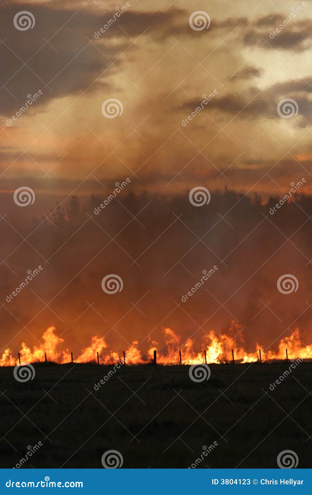 stubble fire at dusk