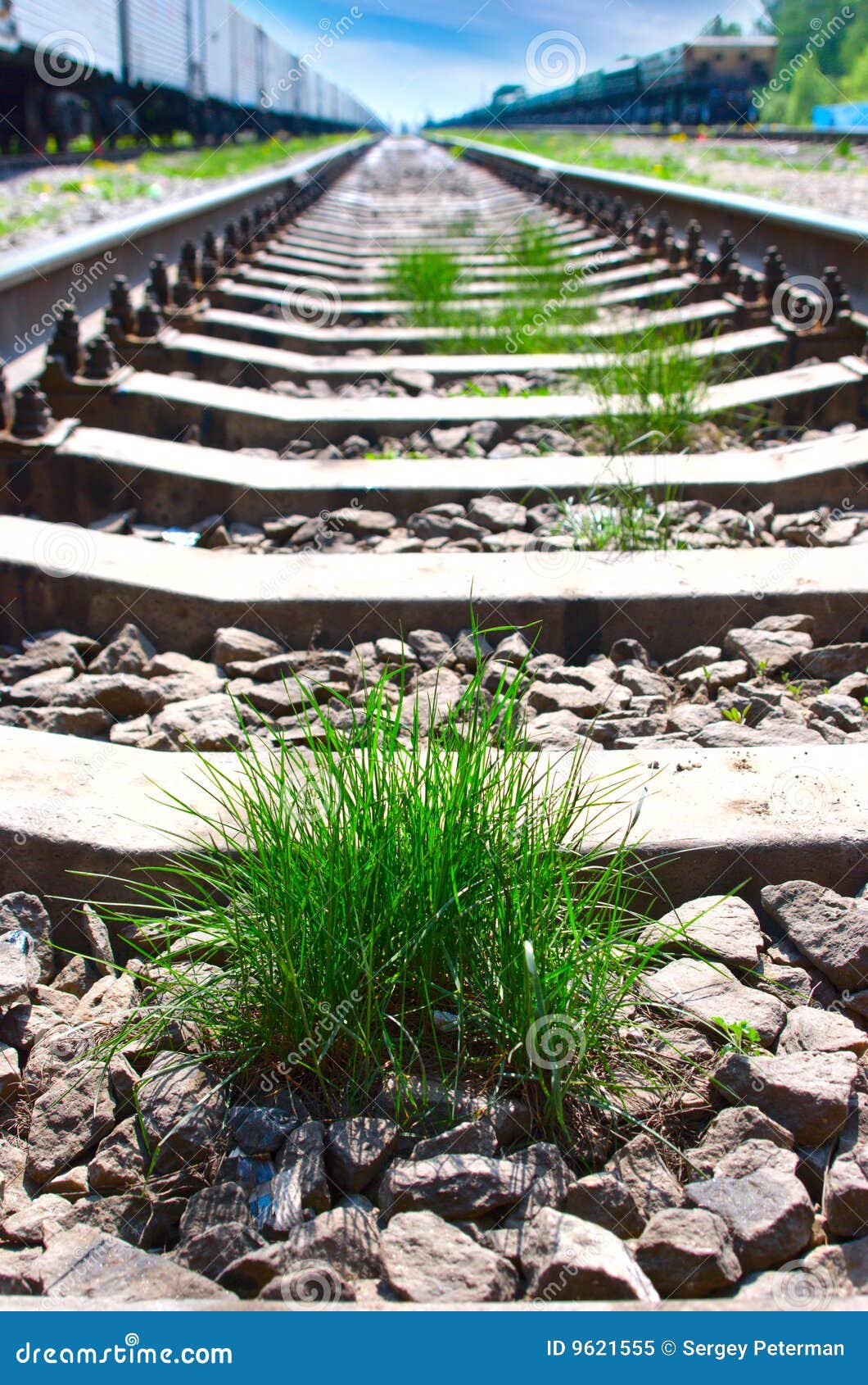 Stubborn grass stock image. Image of grey, cargo, perspective - 9621555