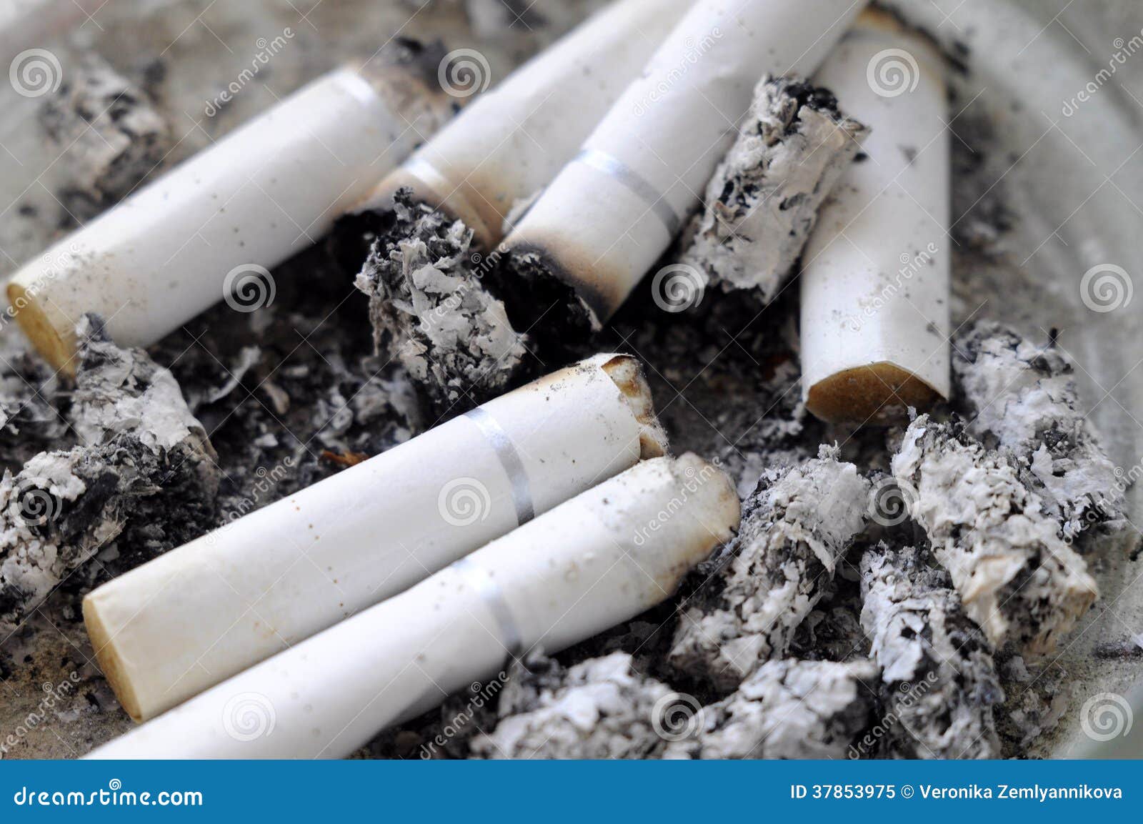 Stubs from Cigarettes, Ashes. Stock Image Image of smoking, danger