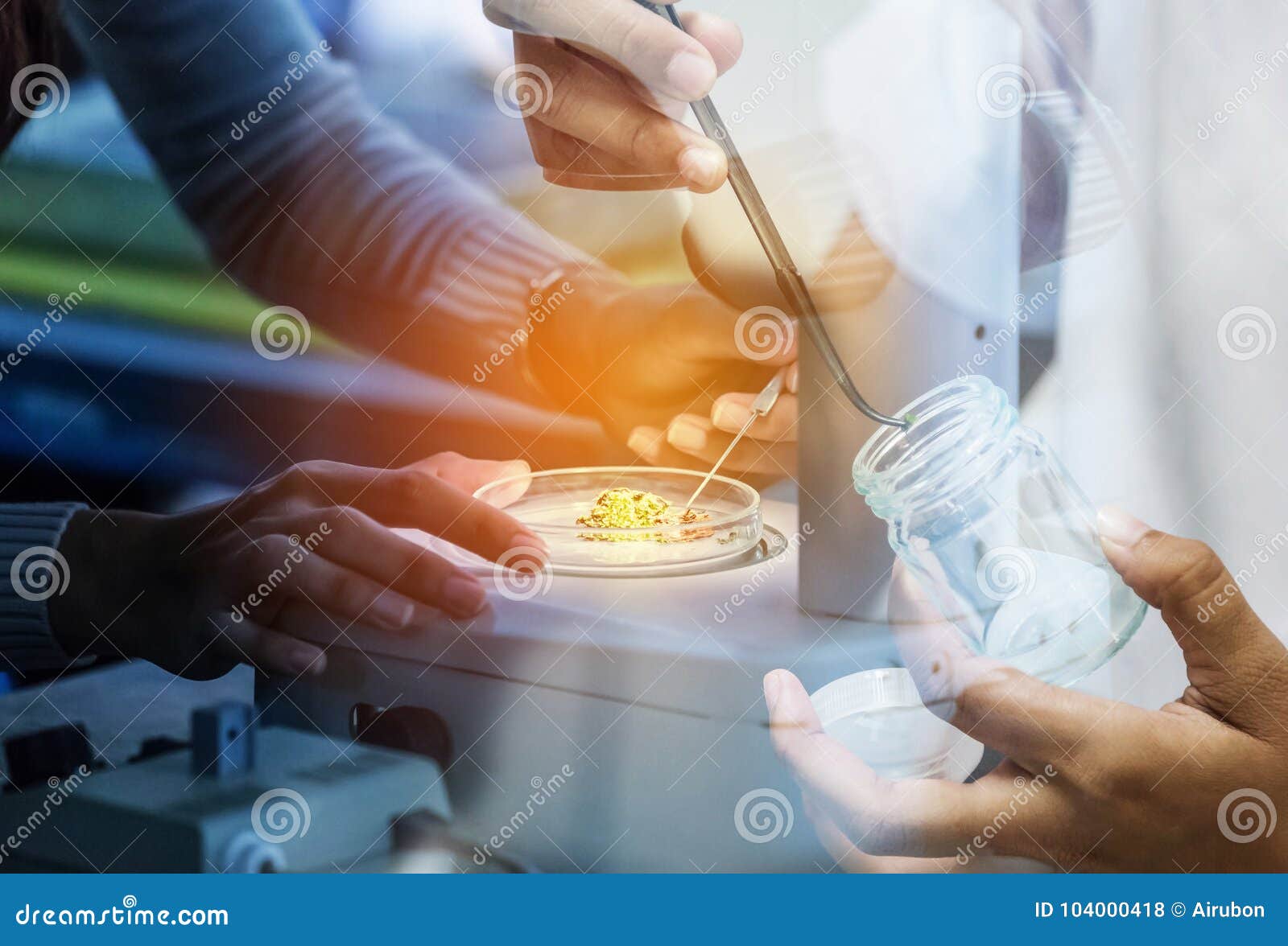 student girl researsh in science laboratory experiments with student biotechnology girl using forceps for small pieces plant tissu