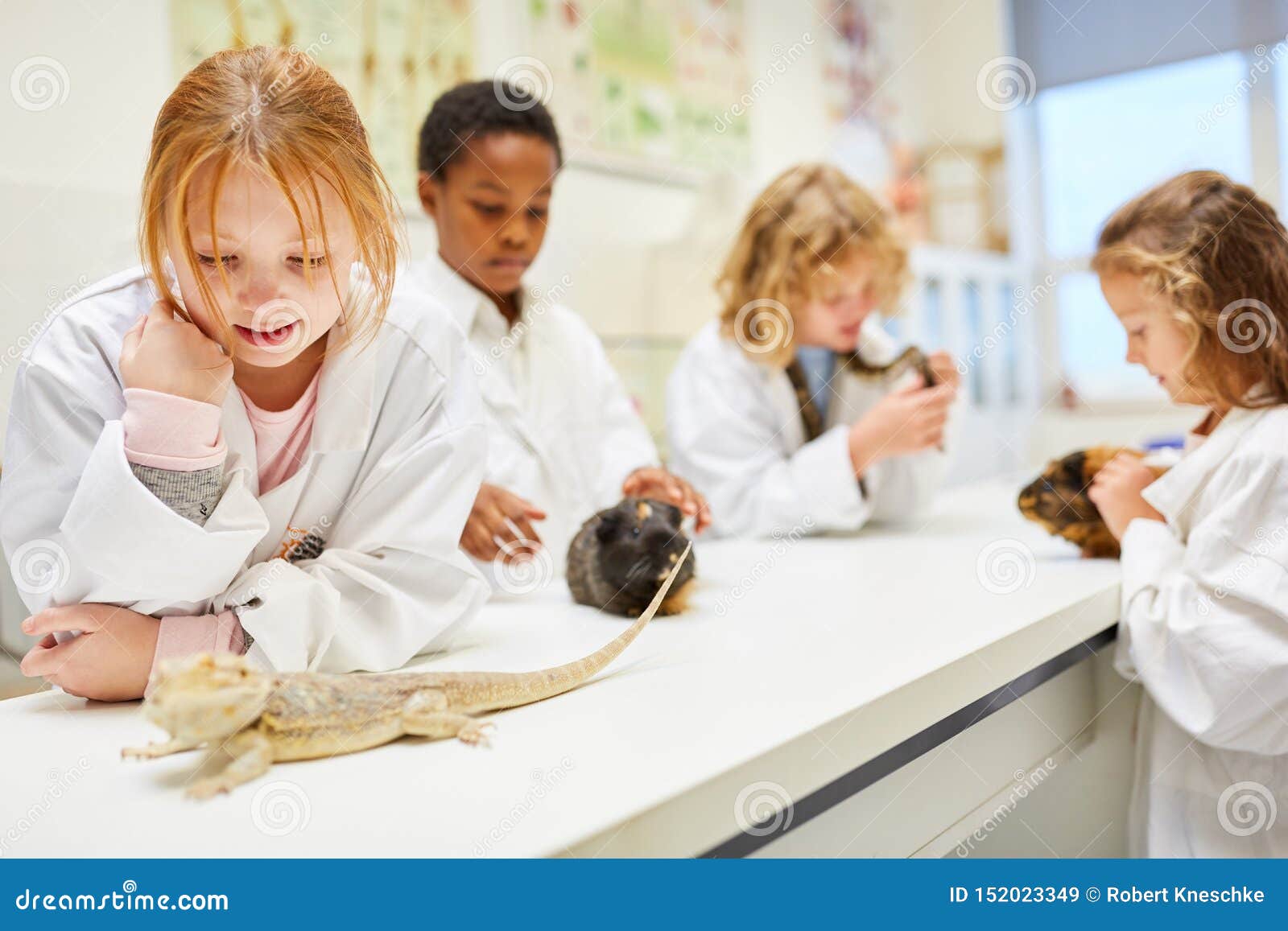 Students in Biology Lesson Observe Animals Stock Image Image of