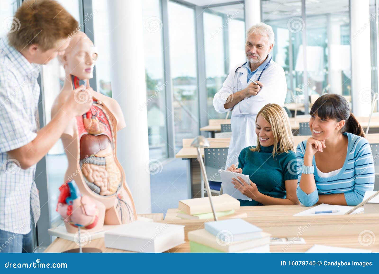 Students with Professor and Human Anatomical Model Stock Photo Image