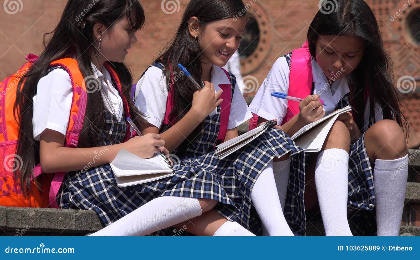Student Studying Wearing School Uniforms Stock Image Image of college