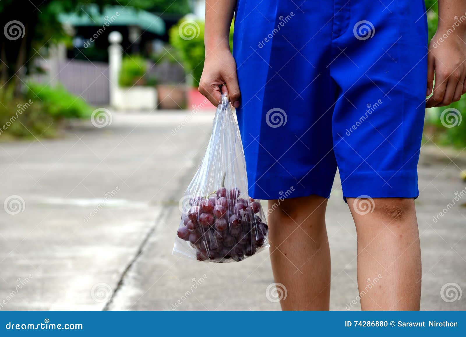 Red Grapes Plastic Bag Stock Photos - Free & Royalty-Free Stock Photos from  Dreamstime