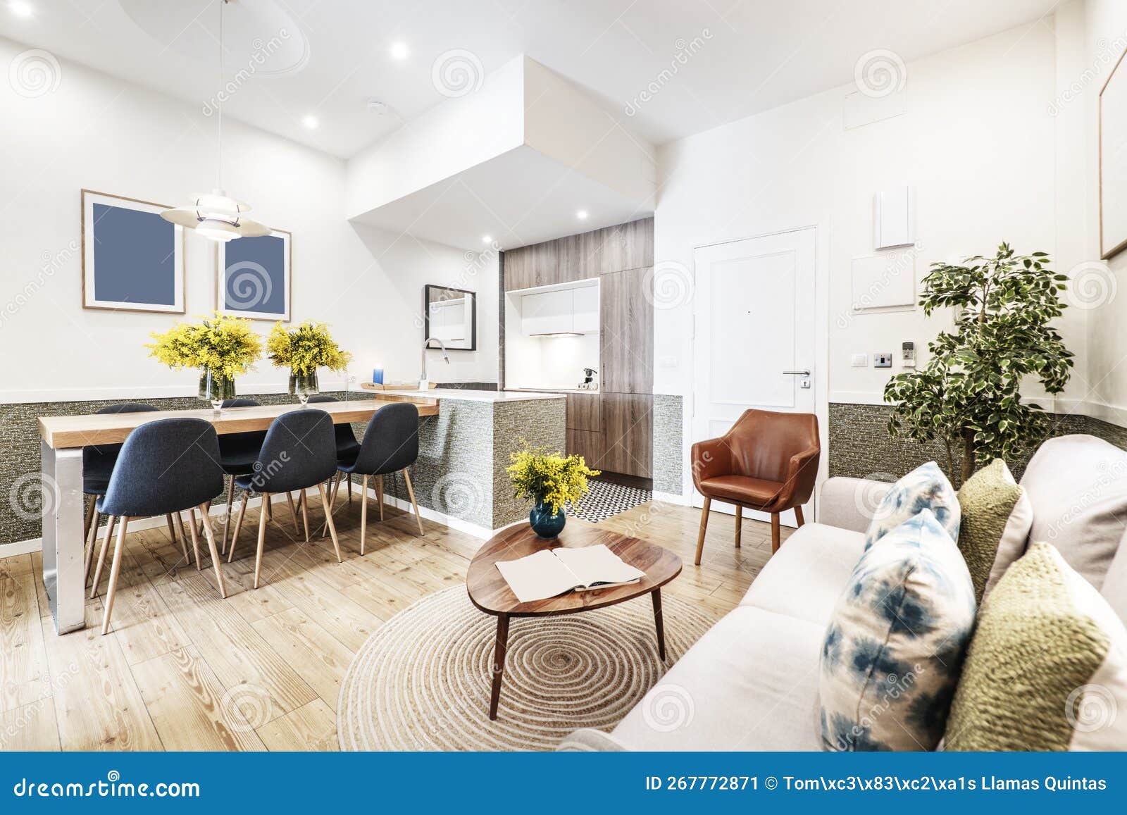 Studio Apartment with Open Kitchen, Fabric Sofas with Cushions, Wooden