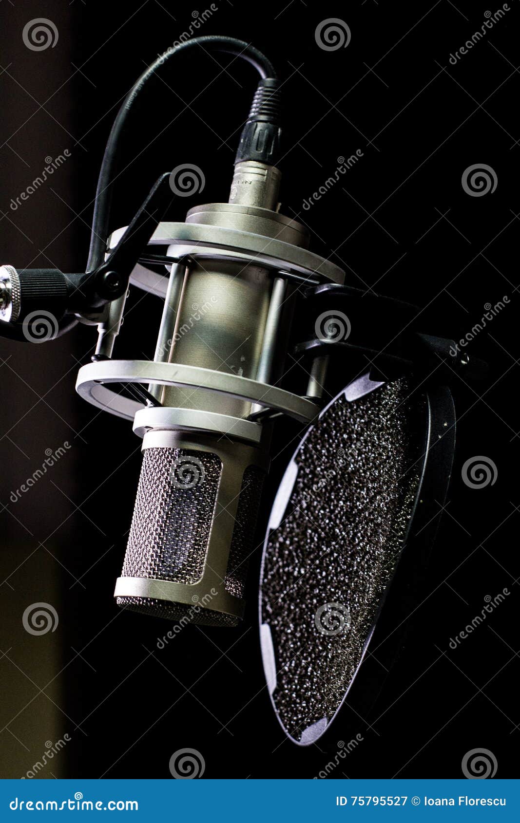 studio microphone with pop filter close-up