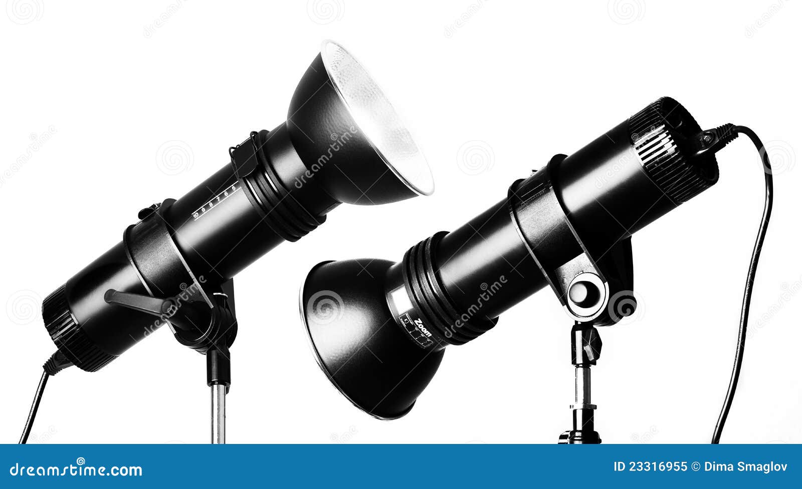 Studio Photography Professional Flash Spotlight Stock Image Image of