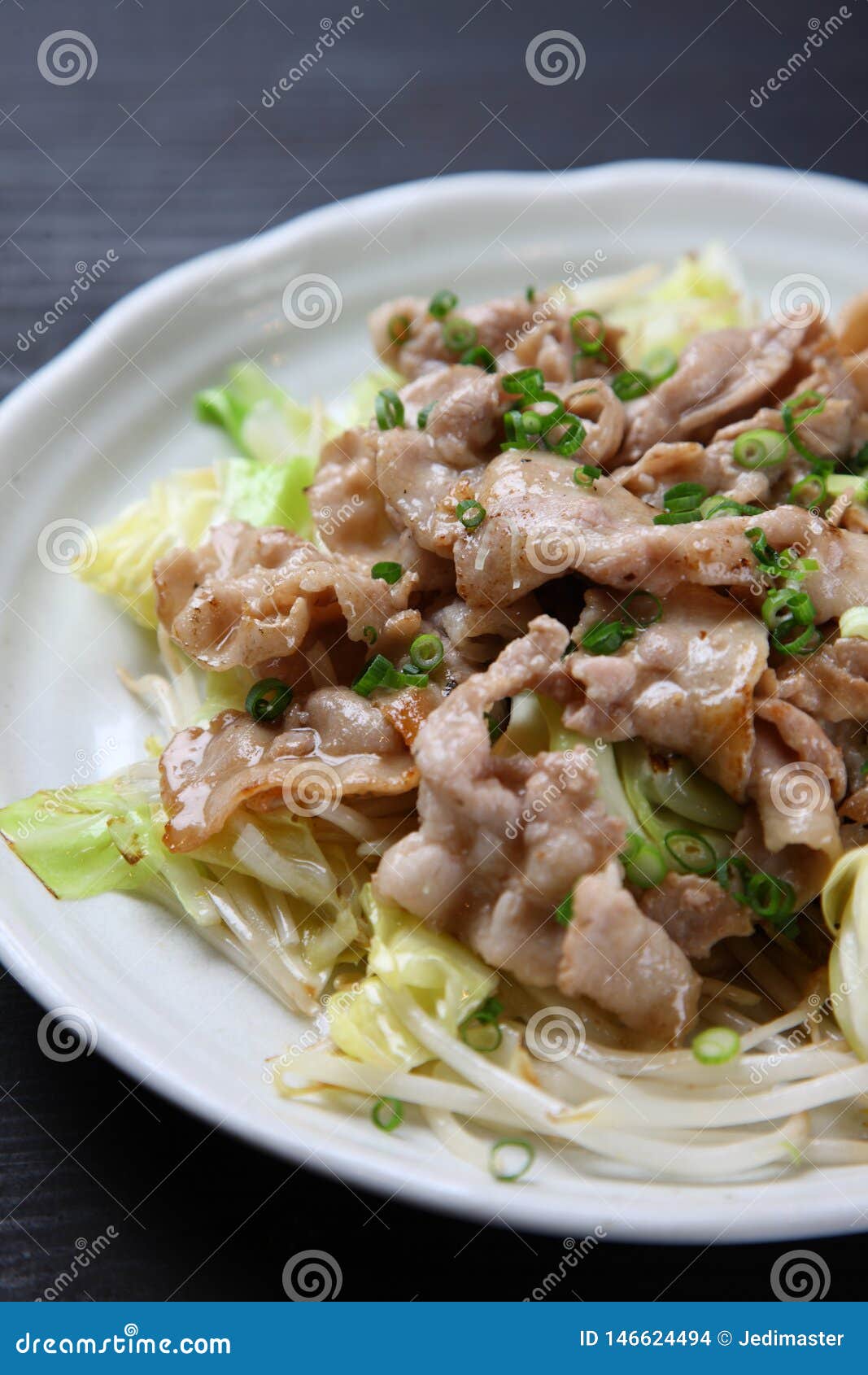 Japanese Stirfried Meat and Vegetables Stock Photo - Image of shot