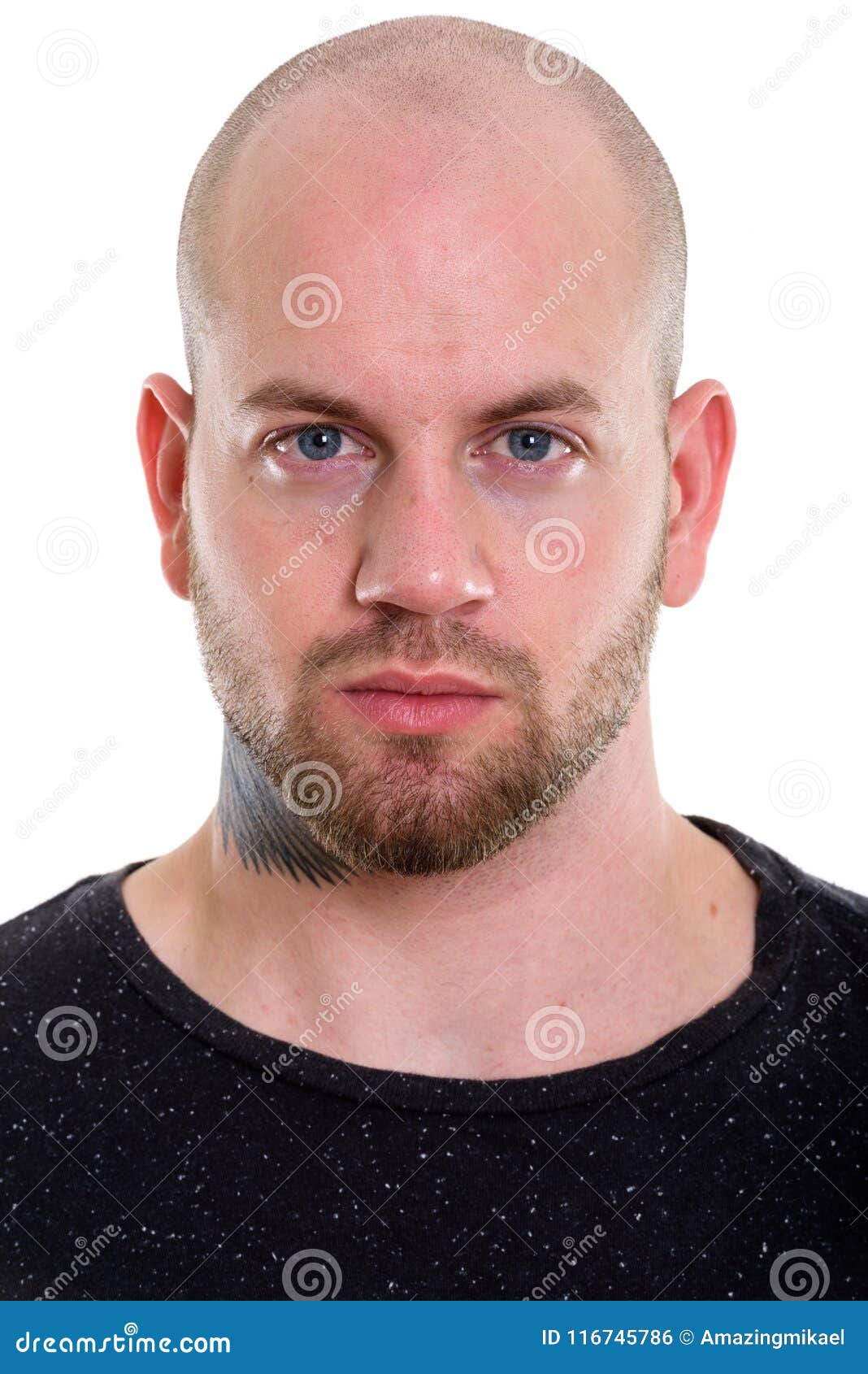 Studio Shot of Young Bald Muscular Man Stock Photo - Image of macho ...