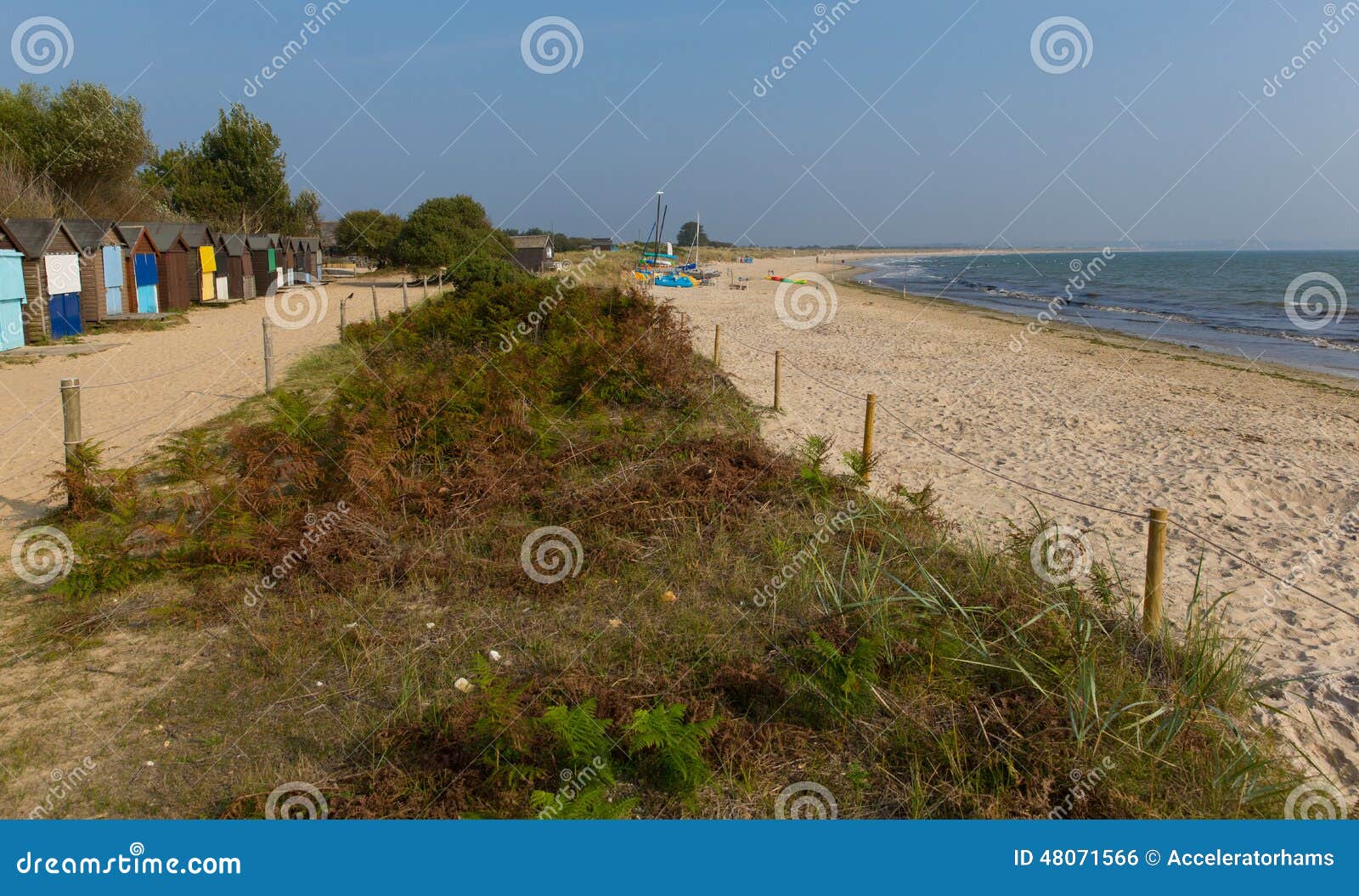 studland knoll beach dorset england uk with beach huts