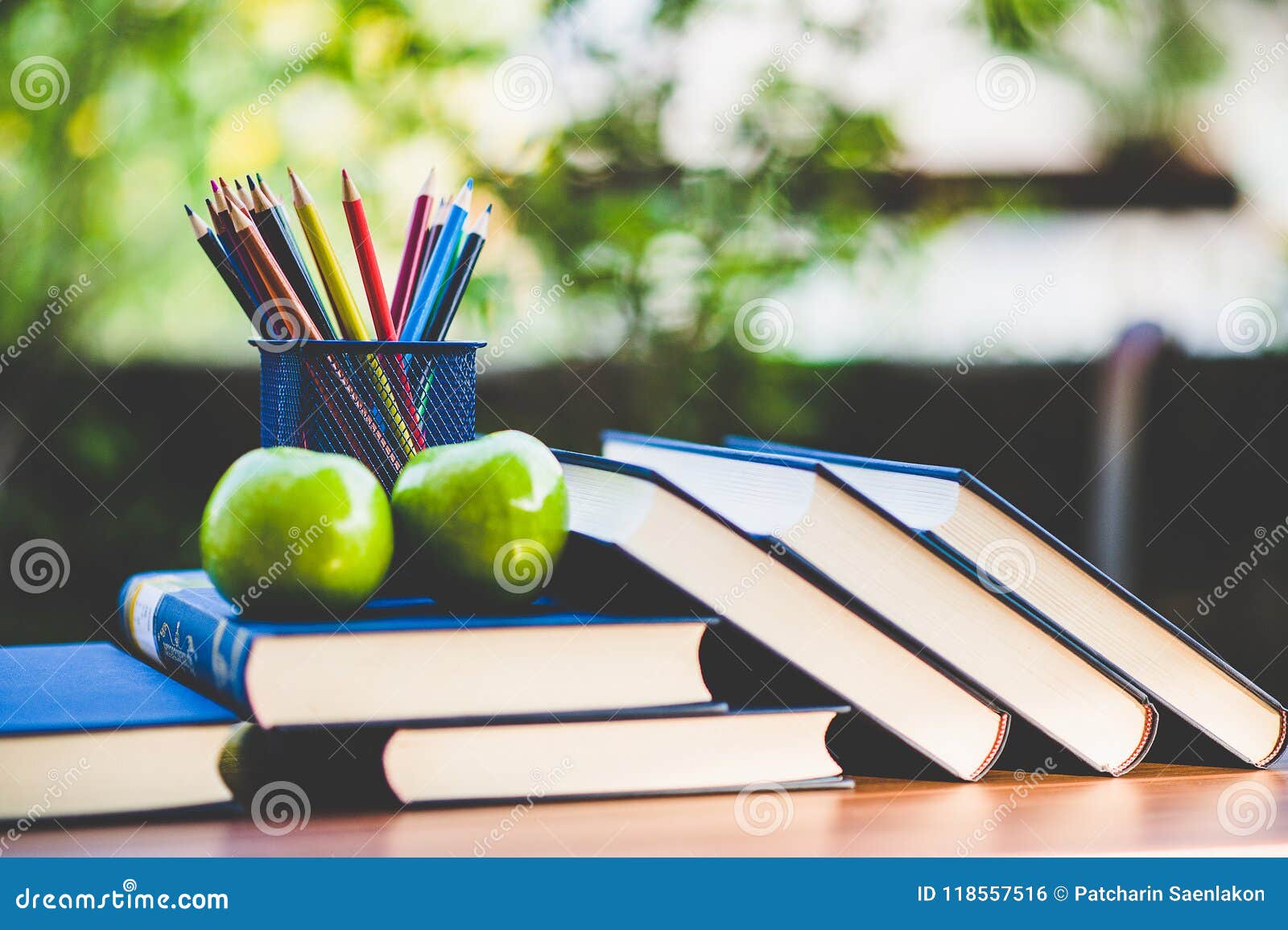 Studying Books and Learning Materials. Stock Photo Image of homework