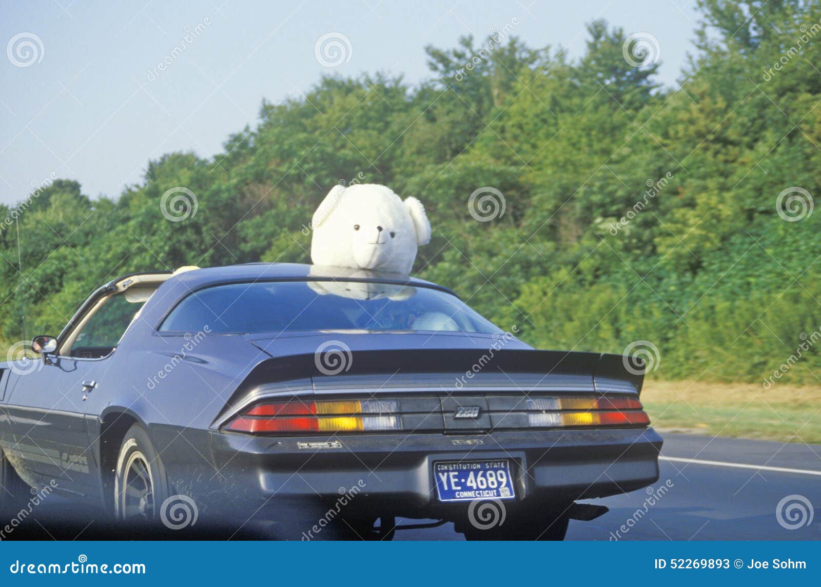 Stuffed Animal on Top of Car on New Jersey Turnpike, NJ Editorial Stock Photo - Image of color, transportation: 52269893 Stuffed Animal on Top of Car on New Jersey Turnpike, NJ Editorial Stock Photo - Image of color, transportation: 52269893