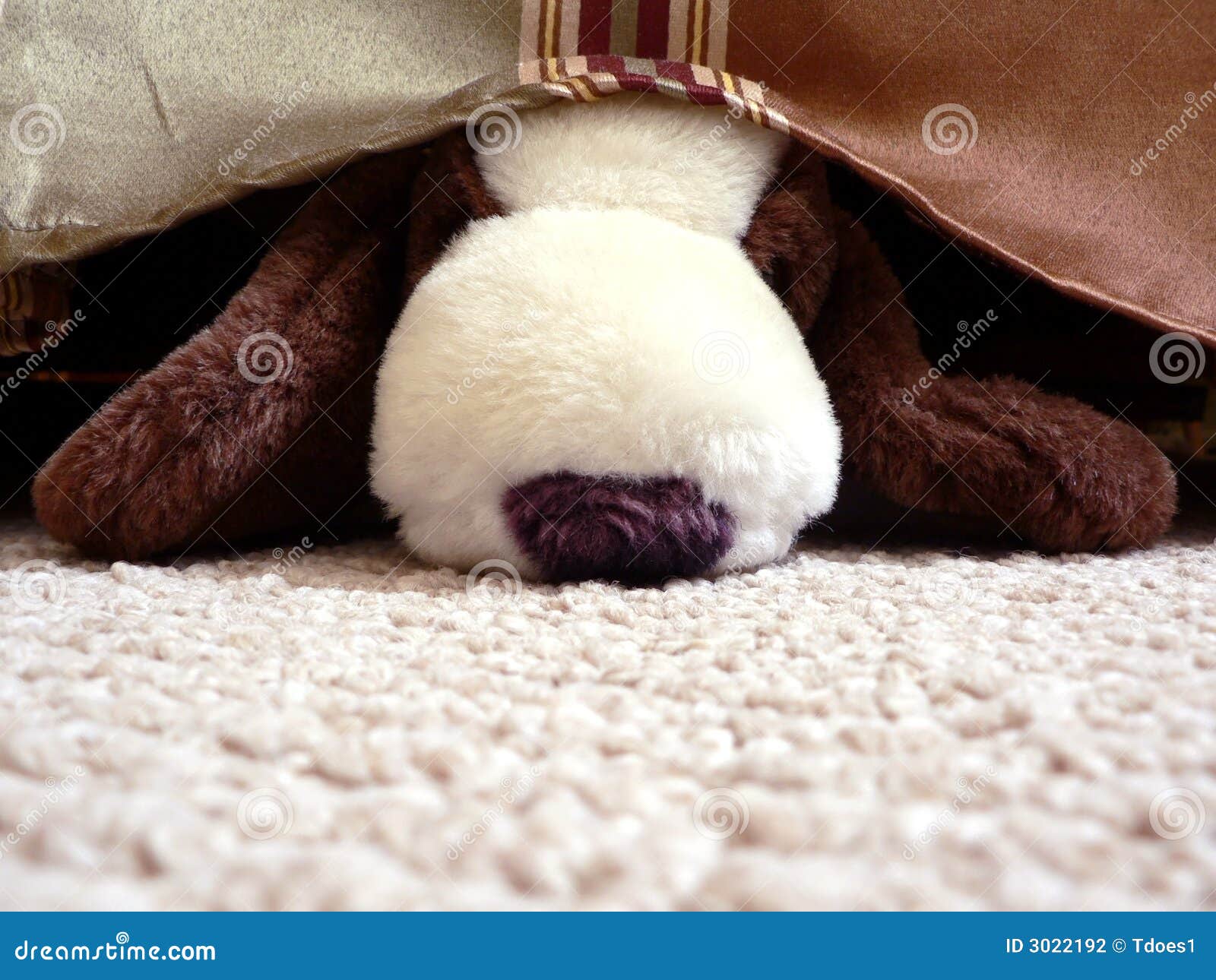 Stuffed animal under bed stock photo. Image of fluffy 3022192