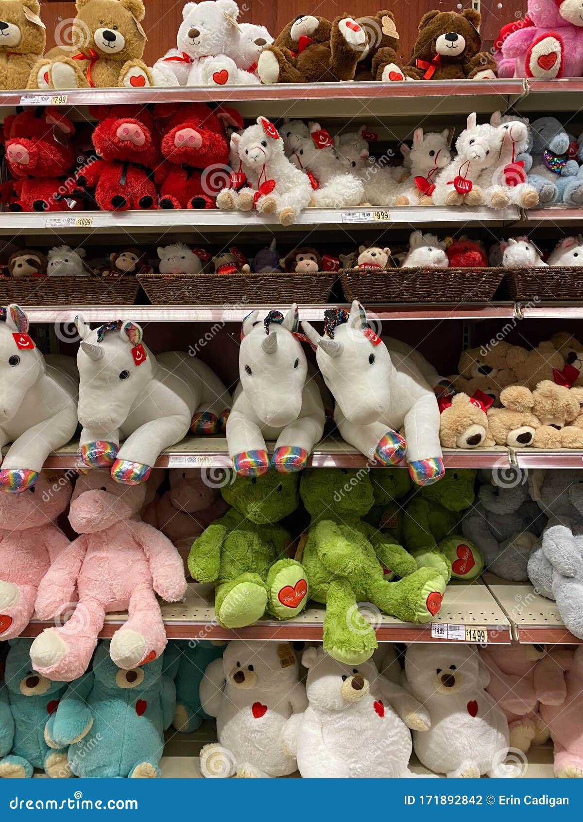 Stuffed Animal Valentines Day Display Editorial Photography - Image of toys, editorial: 171892842 Stuffed Animal Valentines Day Display Editorial Photography - Image of toys, editorial: 171892842