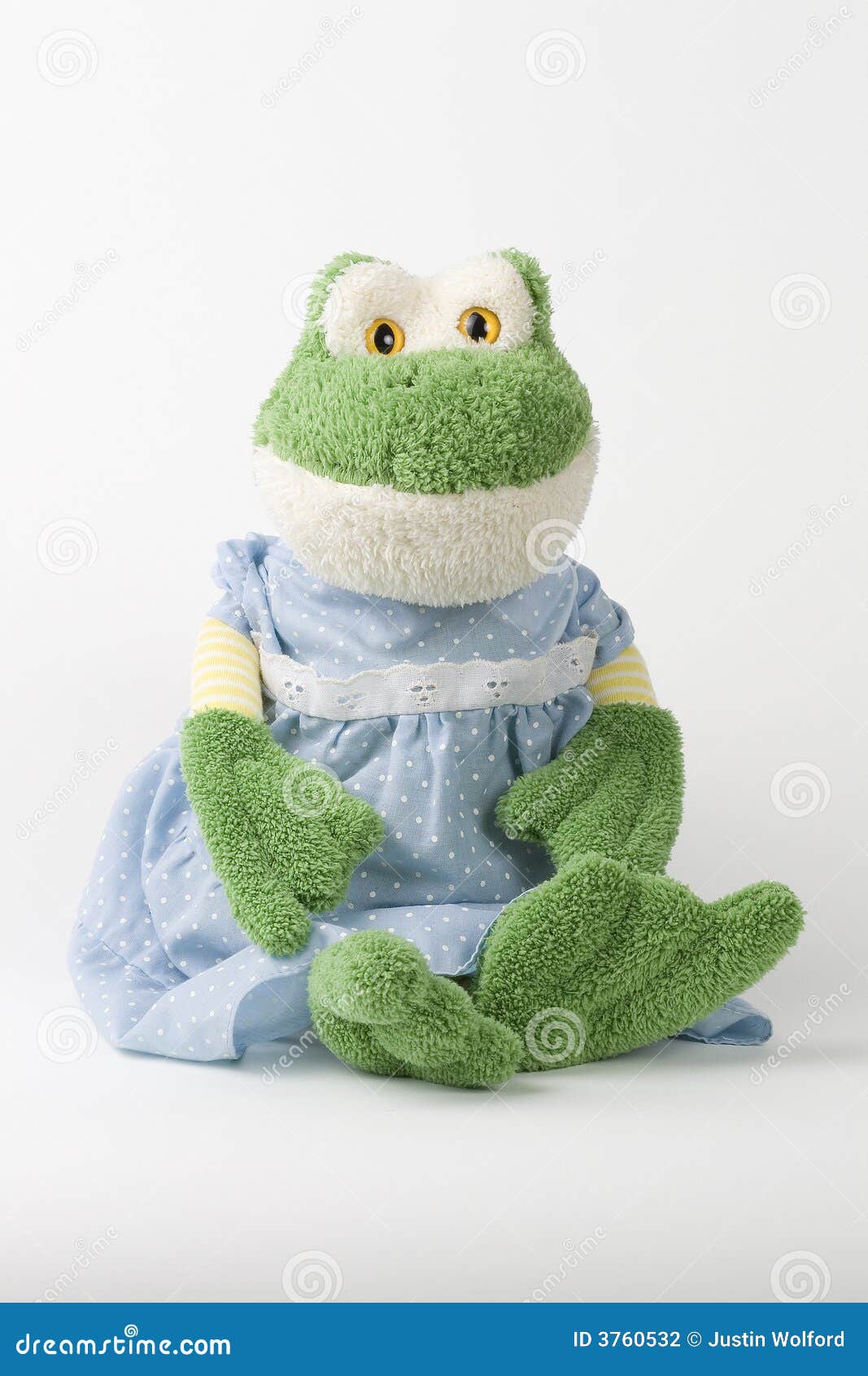 Stuffed frog in blue dress stock photo. Image of blue - 3760532