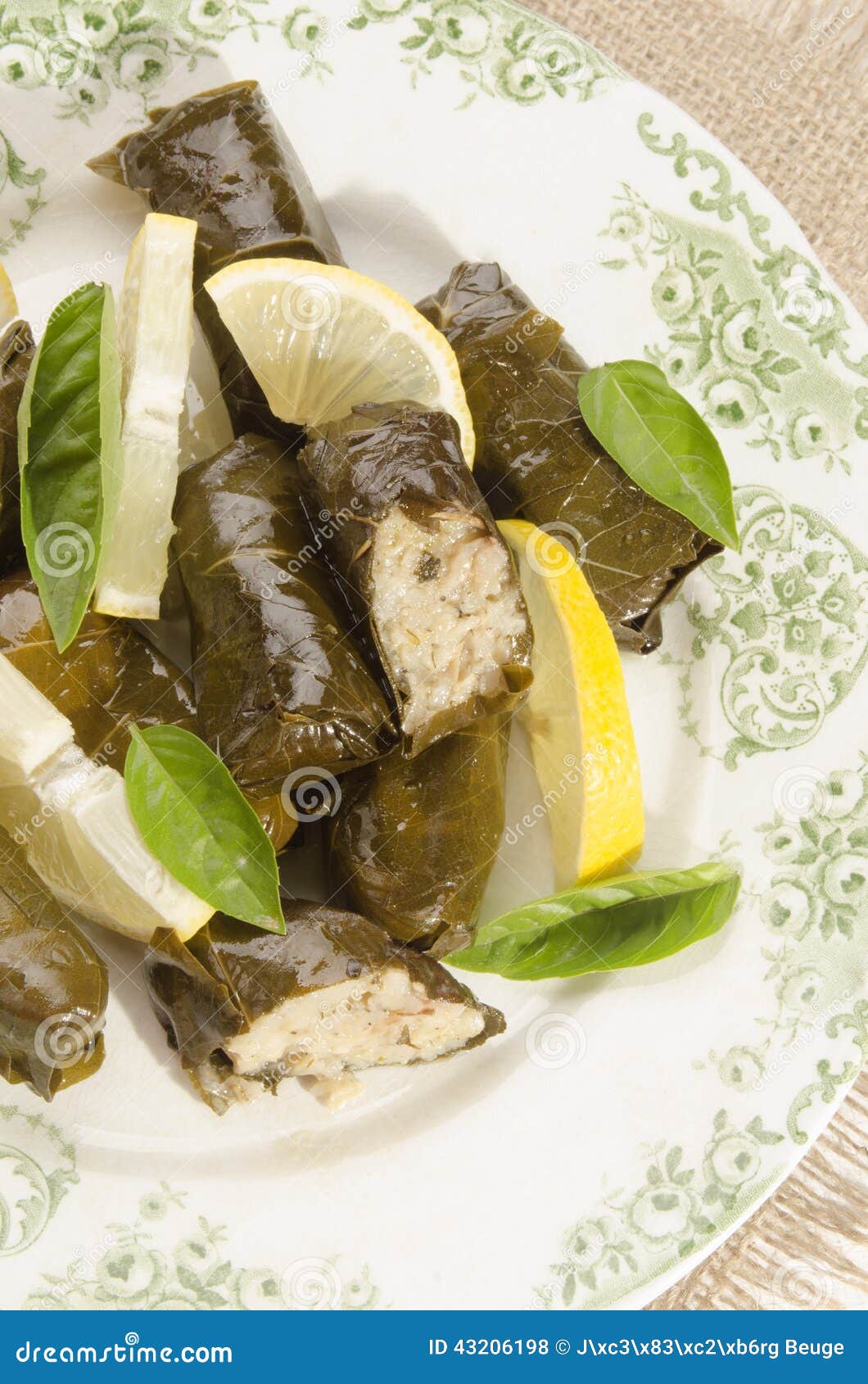 Stuffed Grape Leaves on a Plate Stock Photo Image of lunch, cuisine