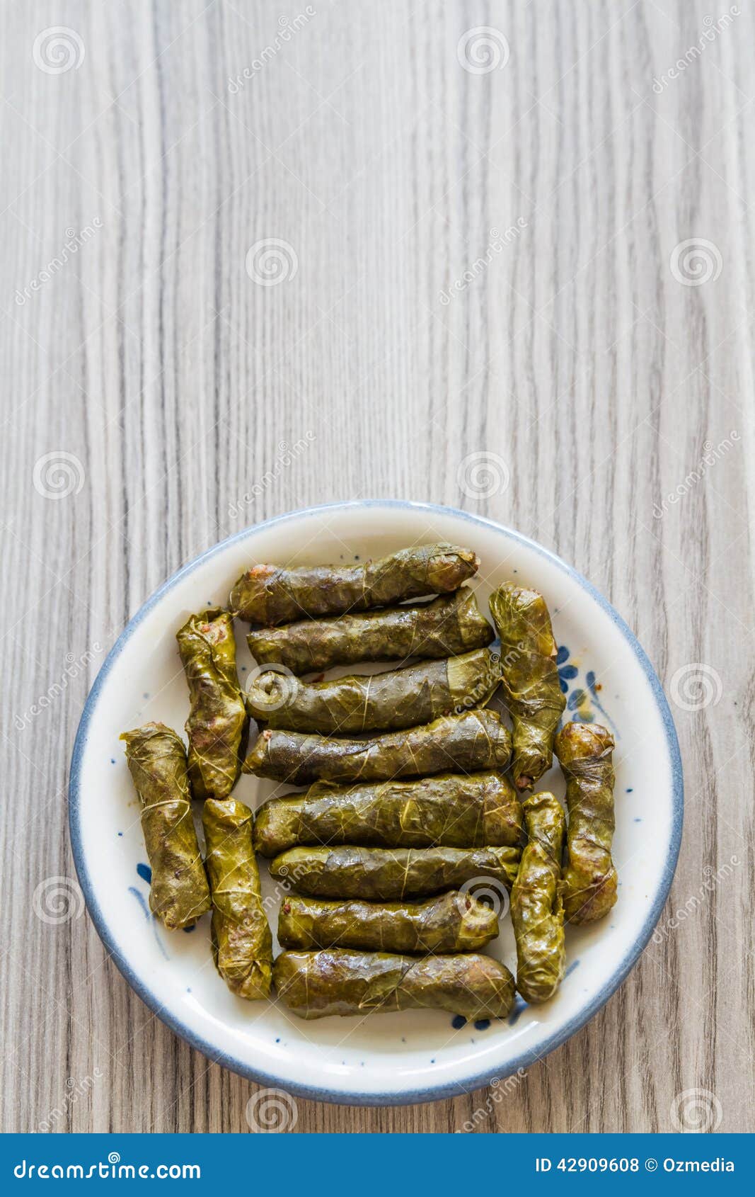 Stuffed Grape Leaves stock photo. Image of lunch, grape 42909608