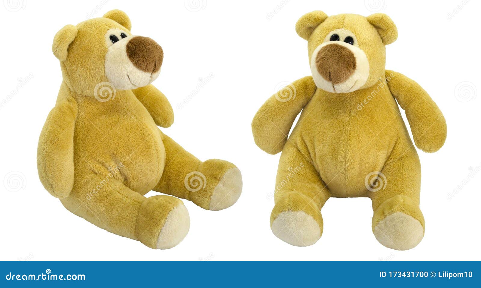 teddy bear creator