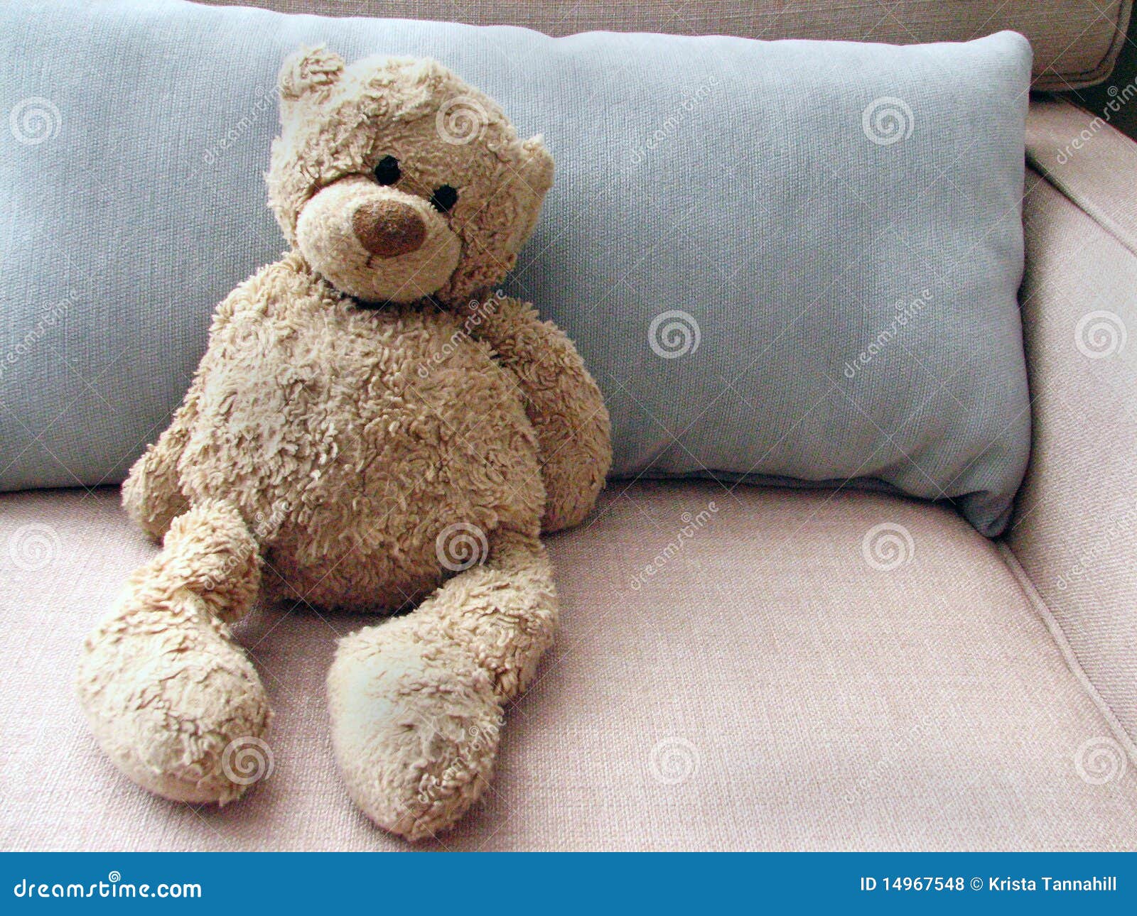 teddy bear pillow