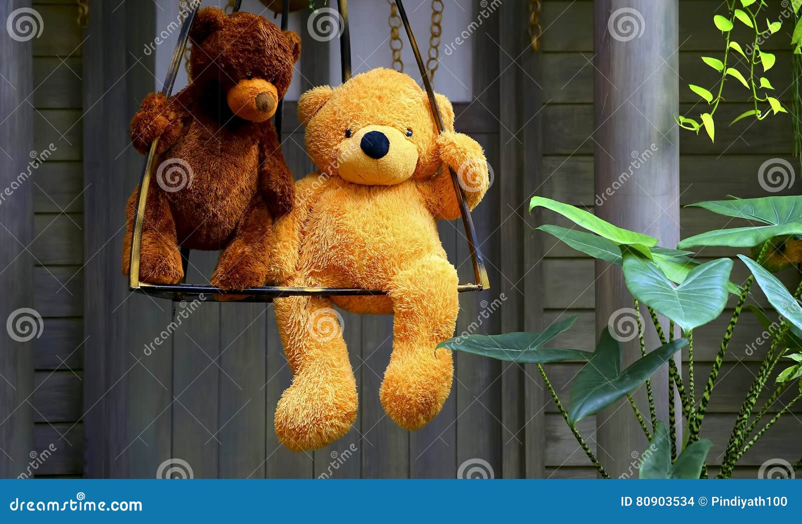Stuffed Toys Two Teddy Bears on a Swing Stock Photo Image of swing