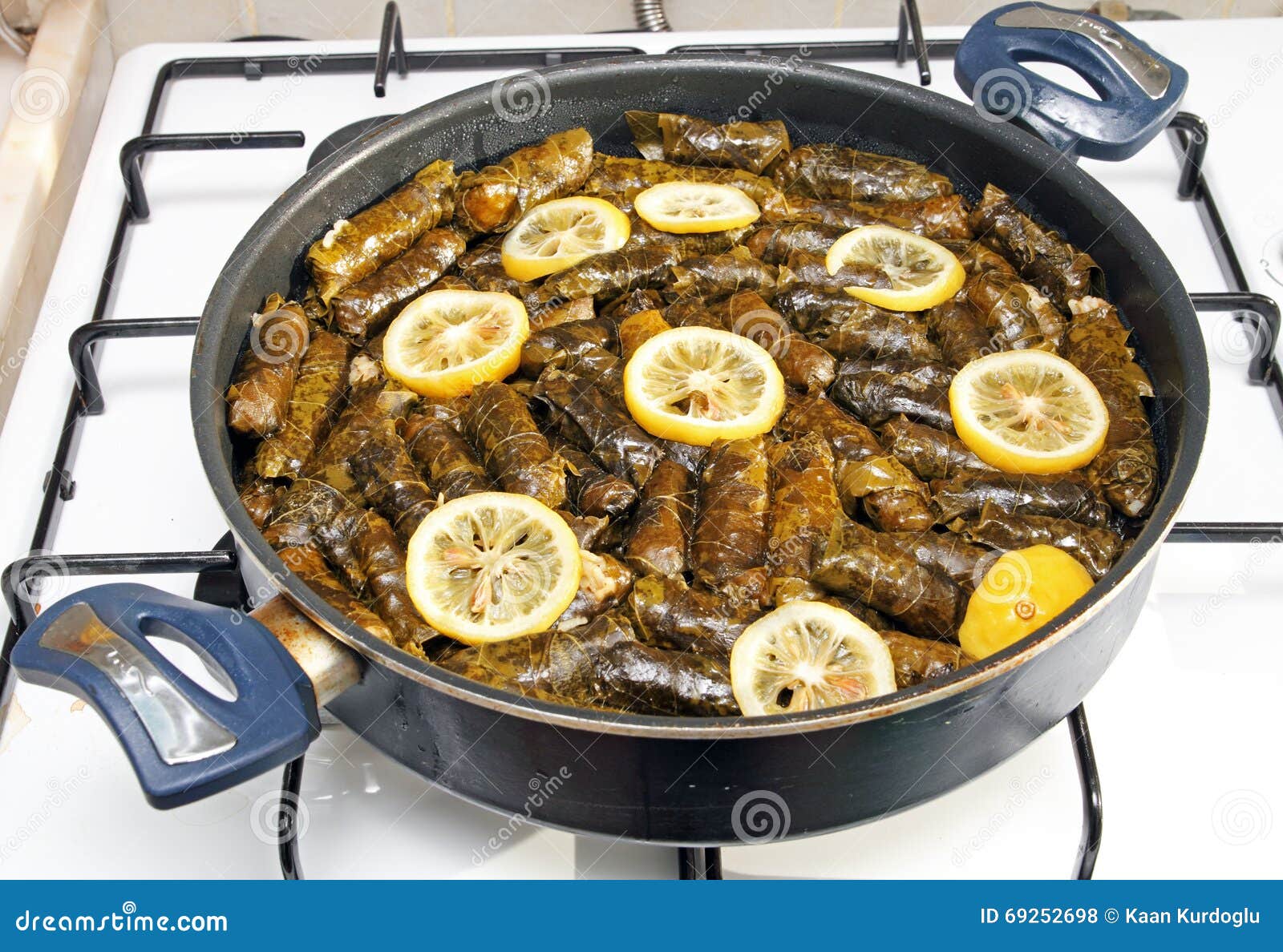 Stuffed vine leaves stock photo. Image of stuffed, meal 69252698