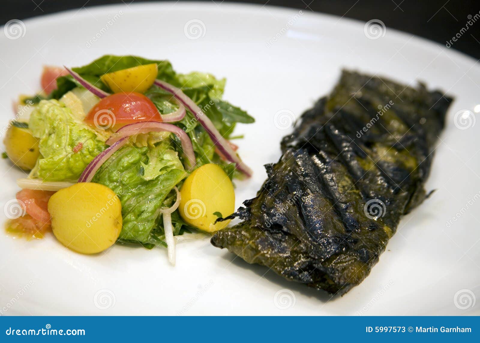 Stuffed Vine Leaves with Salad Stock Image Image of style, plate 5997573