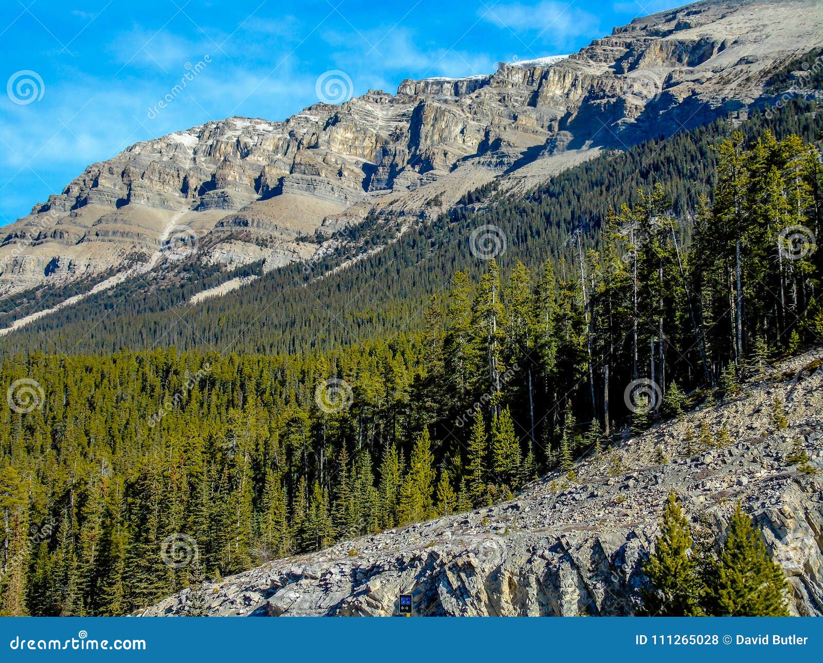 stuffield peak, jasper national park, alberta, canada