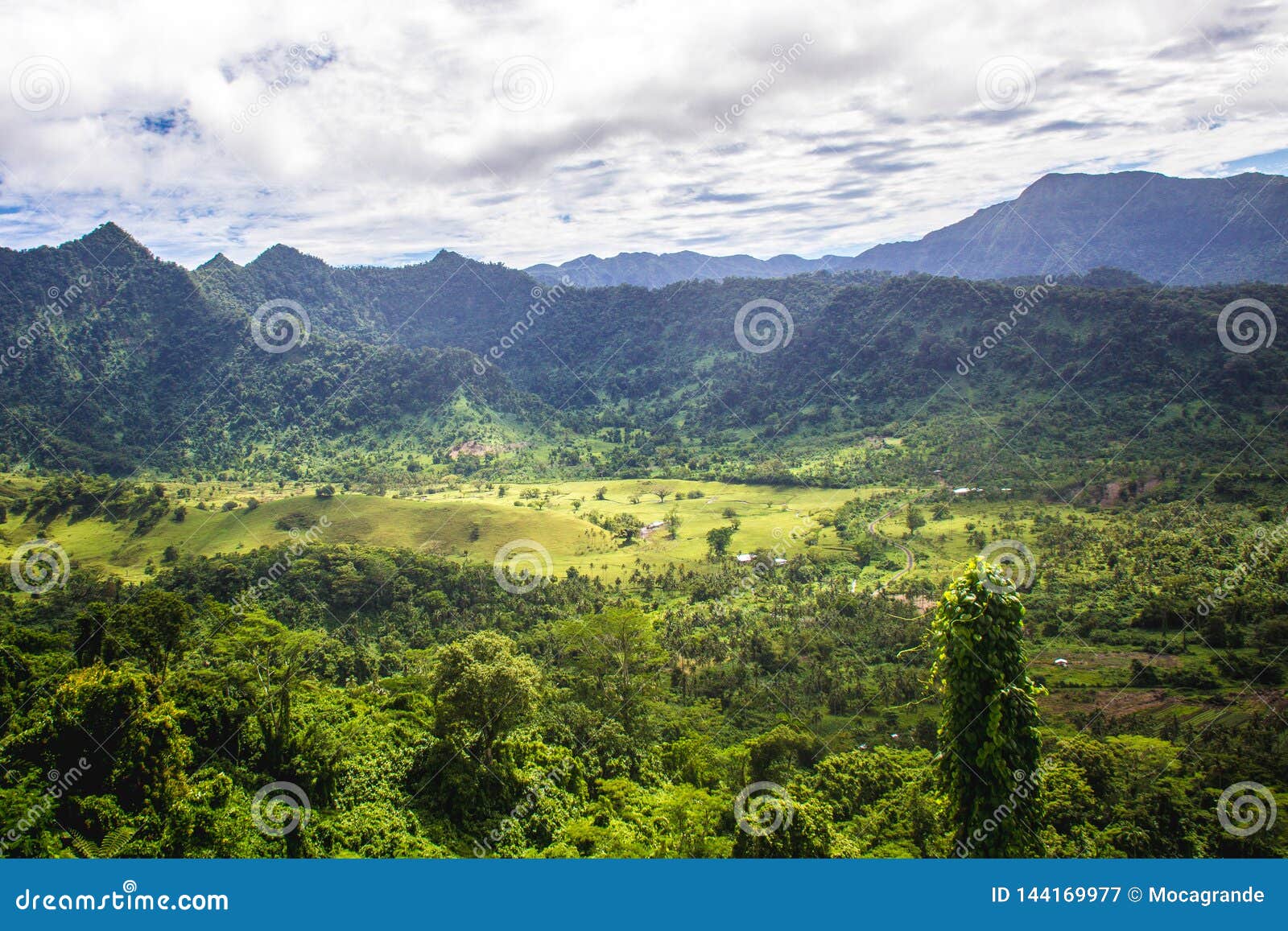 a stunning areal view with palms in tropical samoa, upolu, pacific