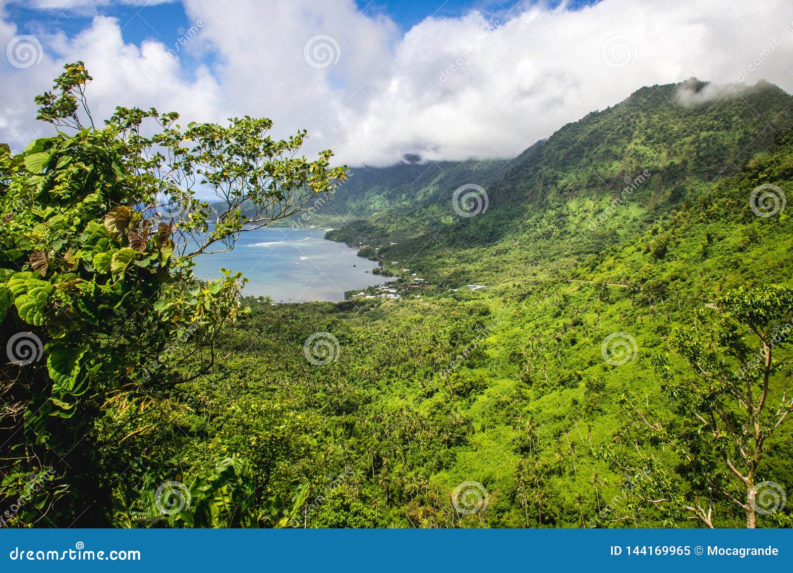 a stunning areal view with palms in tropical samoa, upolu, pacific