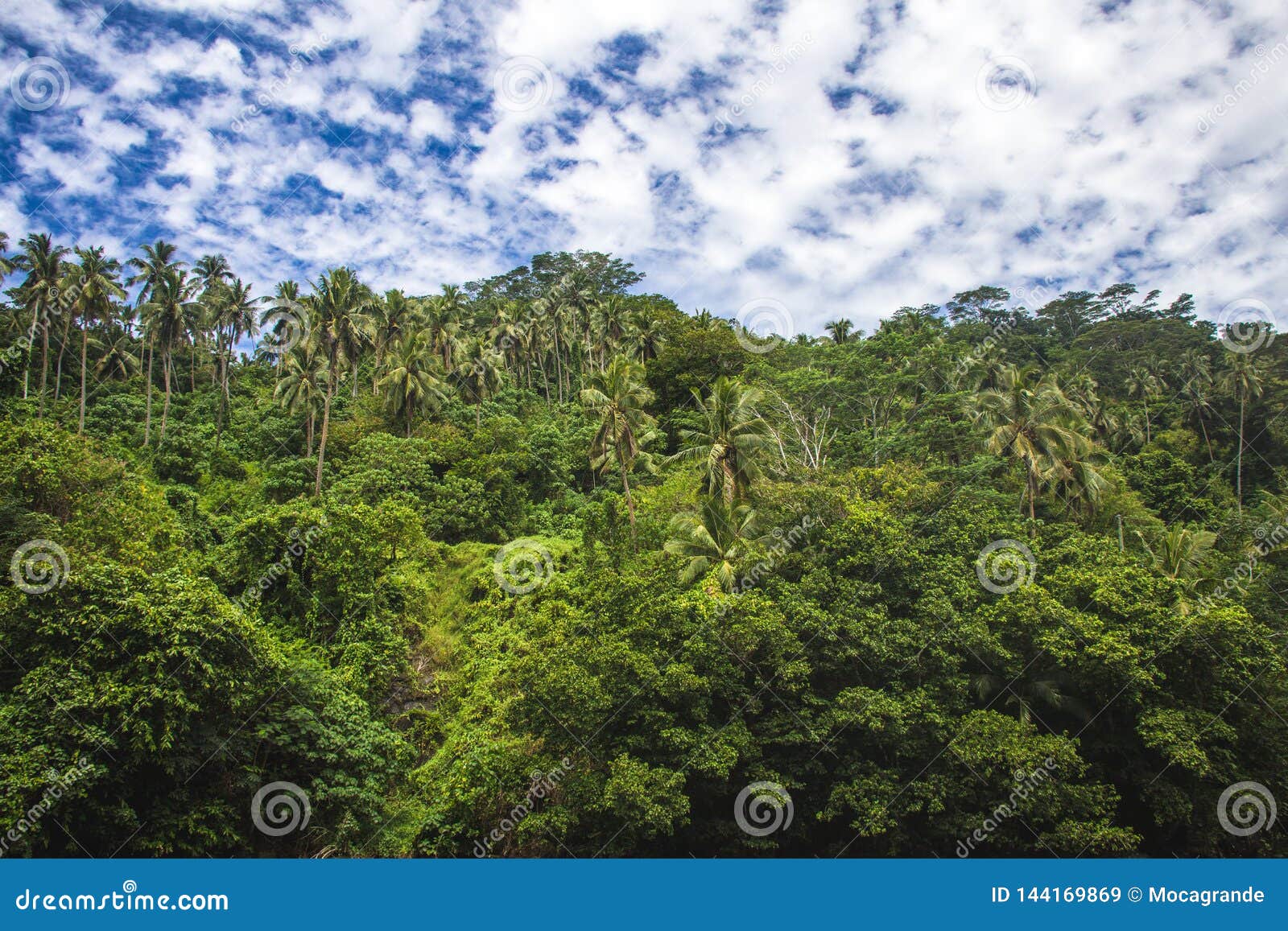 a stunning areal view with palms in tropical samoa, upolu, pacific