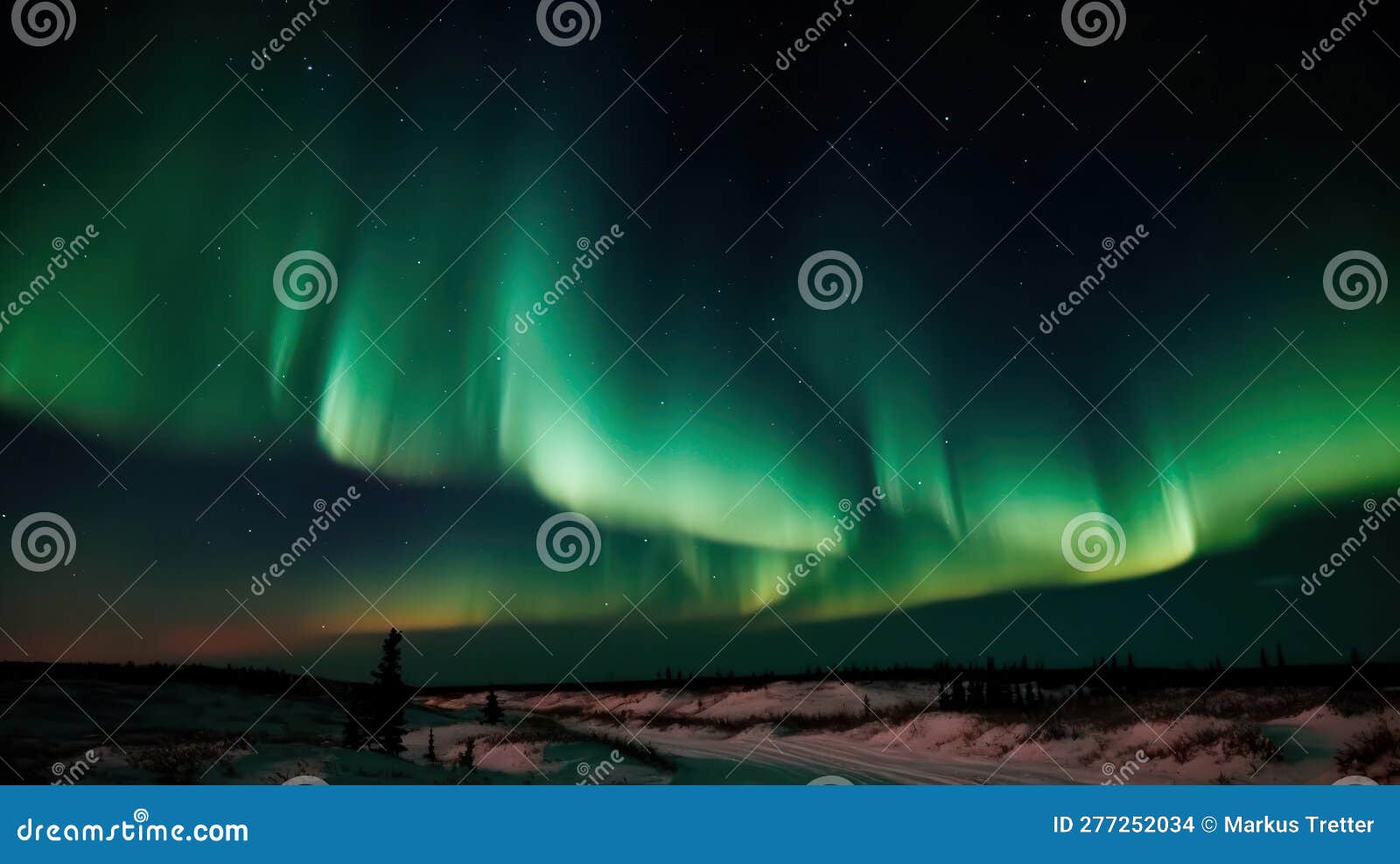 The Stunning Dance of the Aurora Borealis with Dazzling Colors Filling 