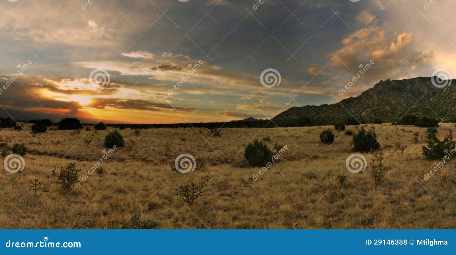 stunning desert sunset