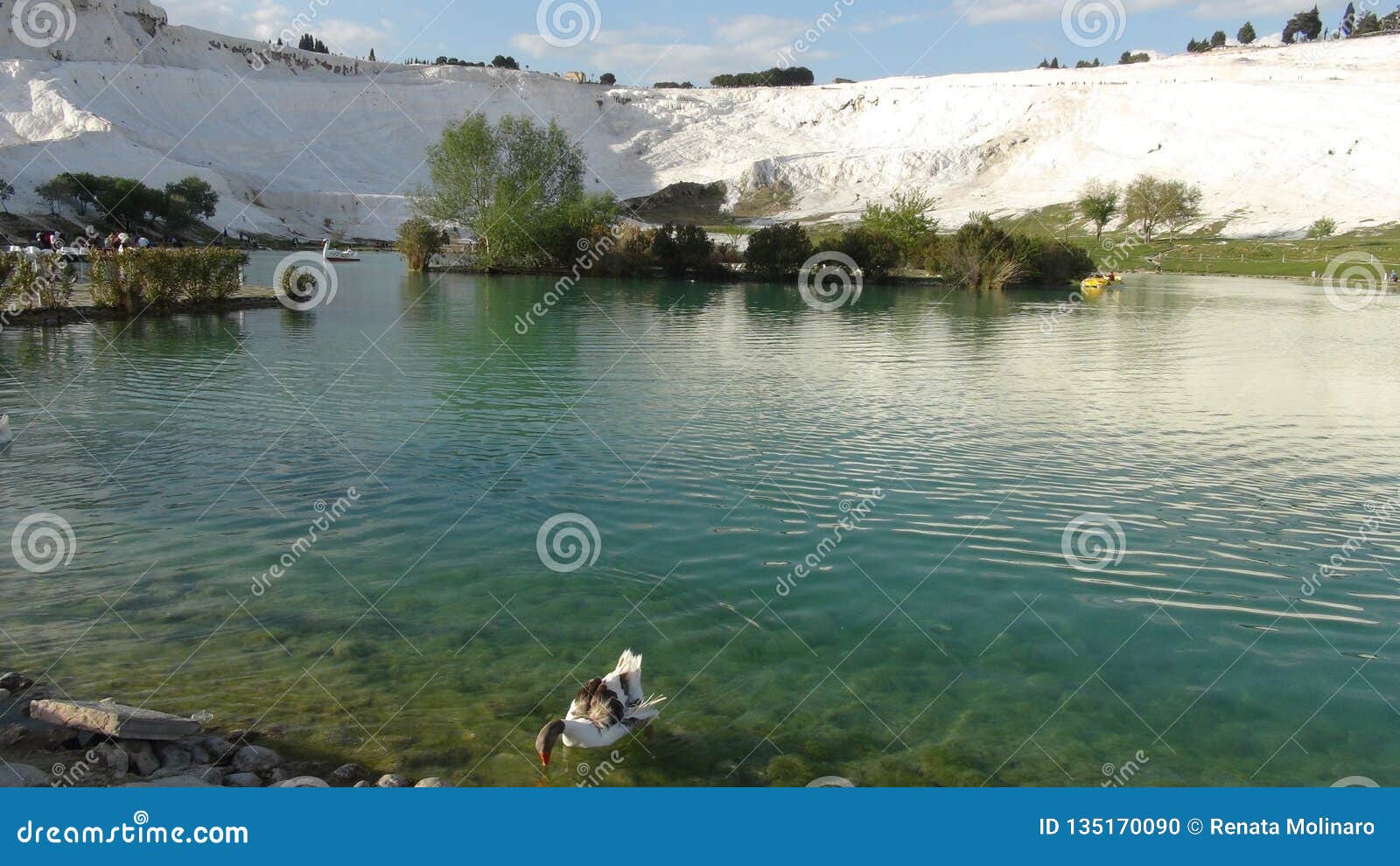 stunning lake in pamukkale, turkey