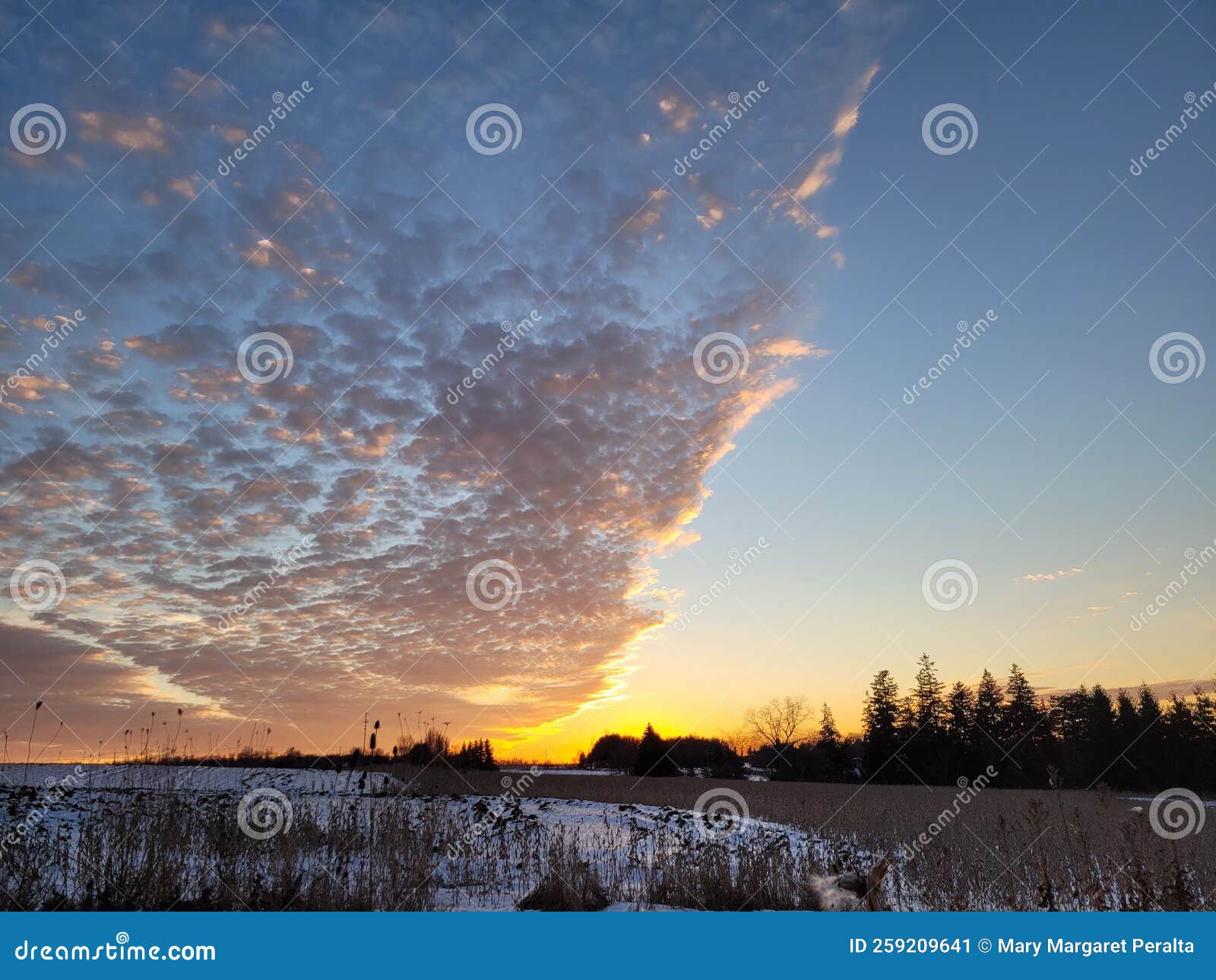 A Special Sunset in January Stock Image Image of evening, snow 259209641