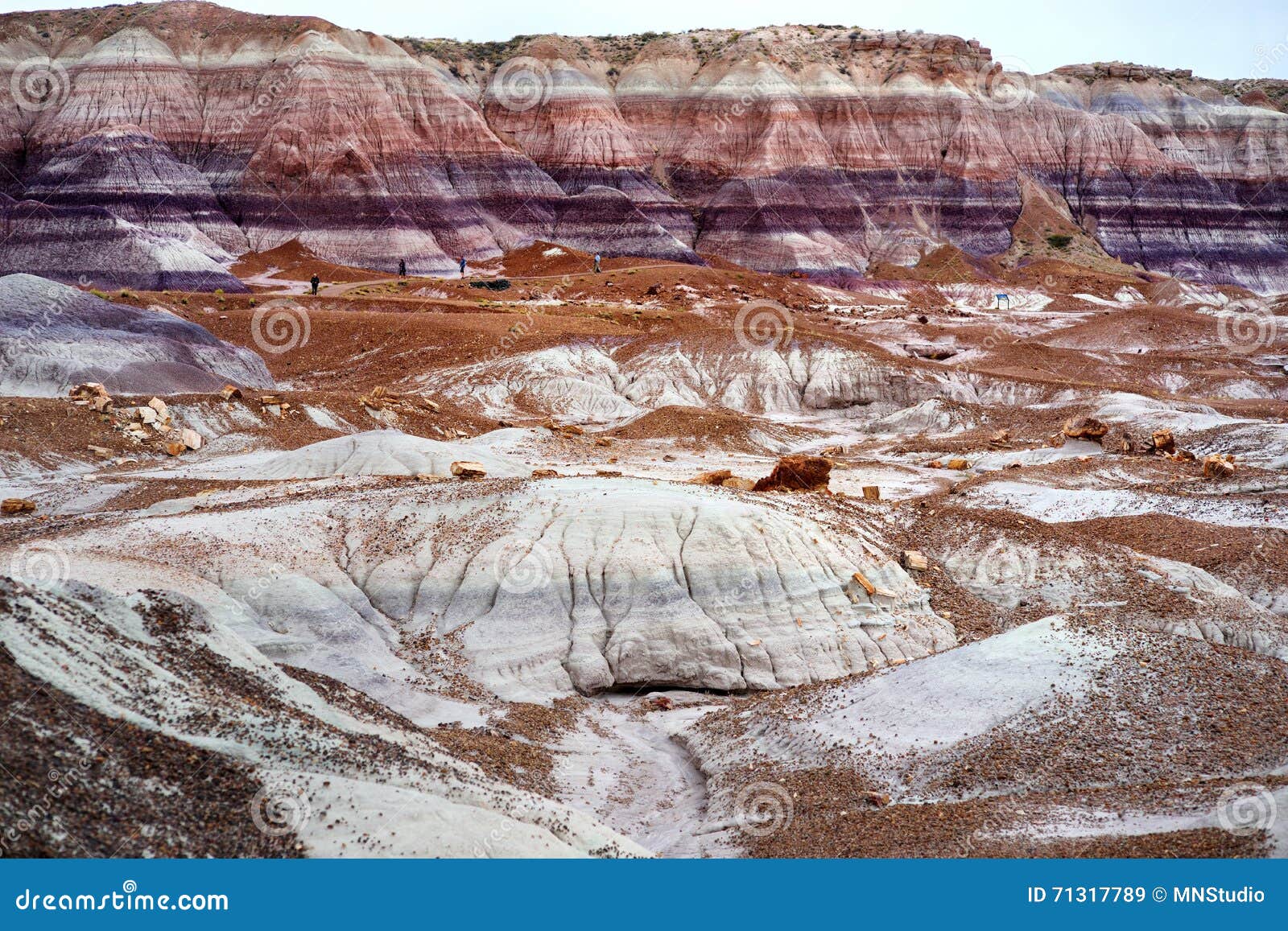 stunning striped purple sandstone formations of blue mesa badlands in petrified forest national park