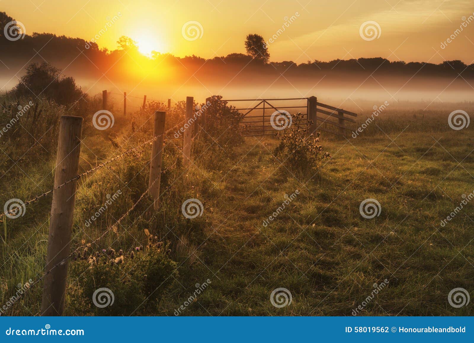stunning sunrise landscape over foggy english countryside with g