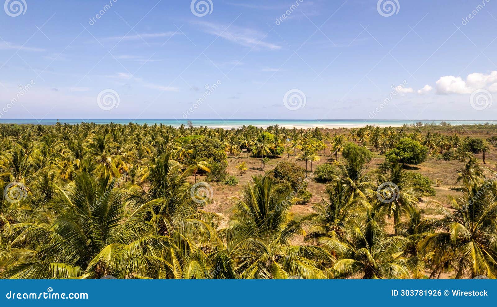 stunning view captures the beauty of a tropical paradise in quionga in cabo delgado, mozambique