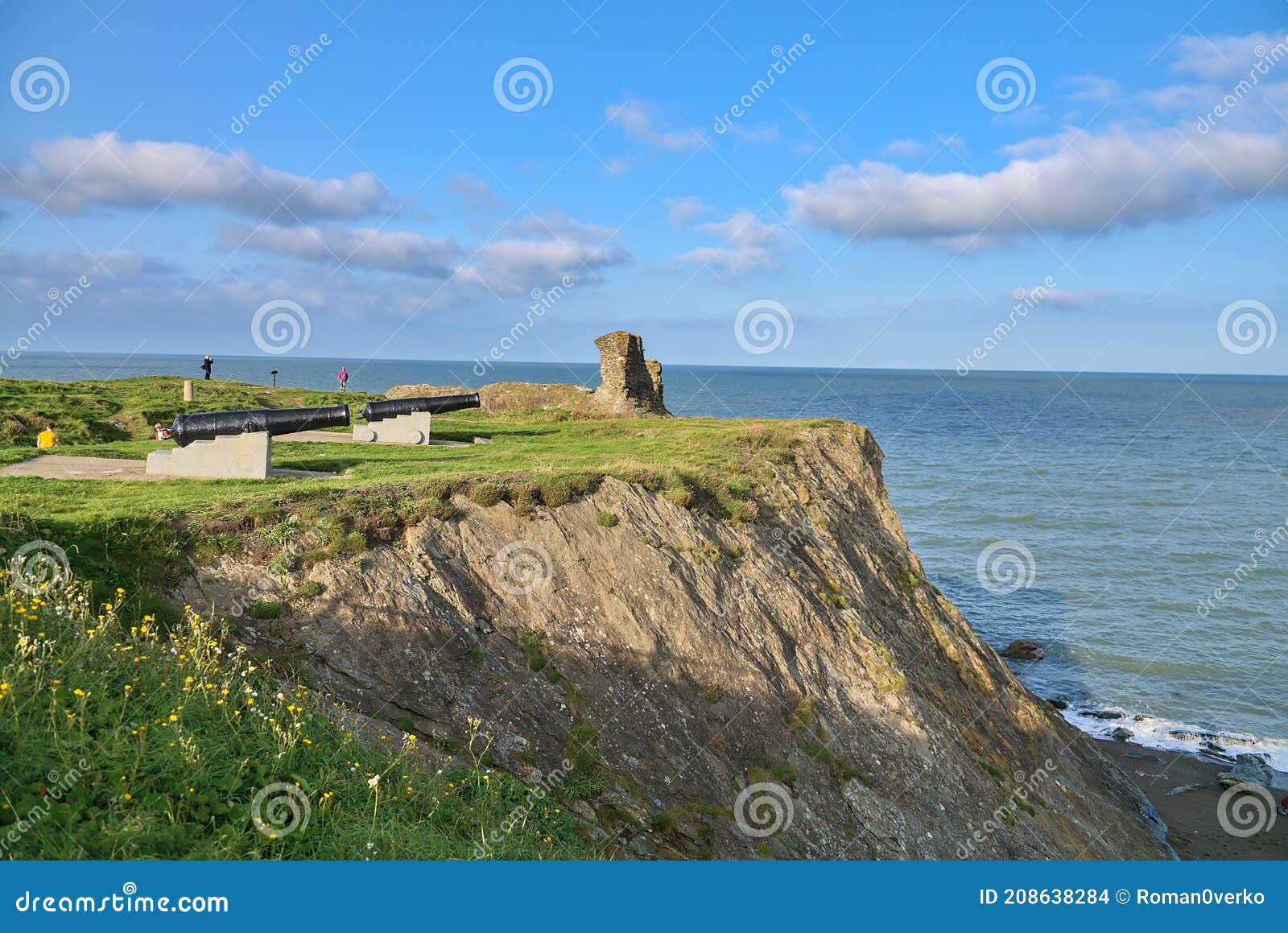 stunning view of cliffy seascape  old black cannons  yellow flowers  and black castle ruins  south quay  corporation lands