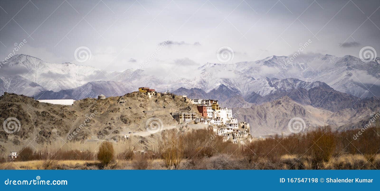 stupa and monastery view of himalayan mountians - it is a famous buddhist temple in,leh, ladakh, jammu and kashmir, india.
