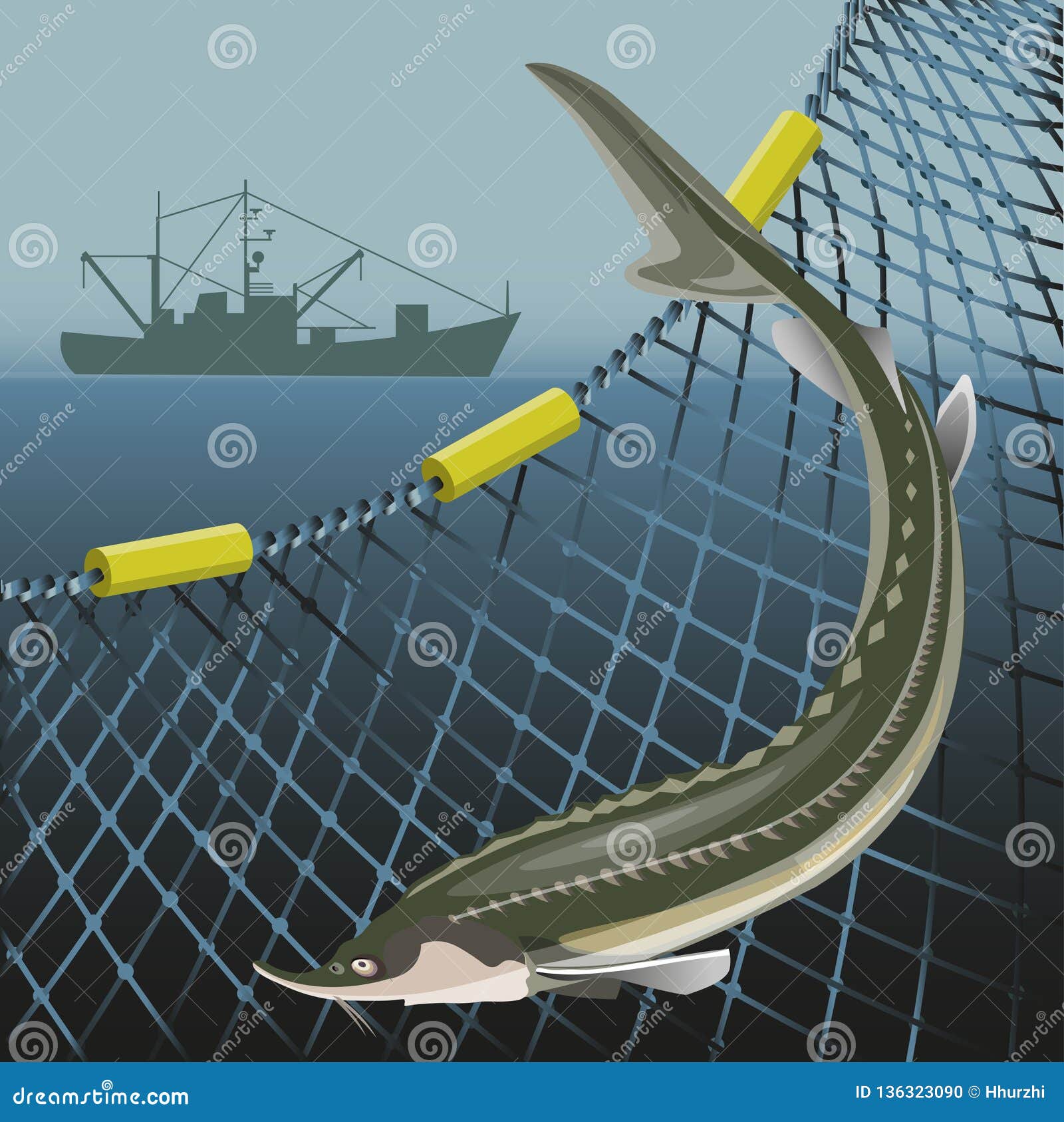 Sturgeon Fish and Marine Nets Stock Vector - Illustration of
