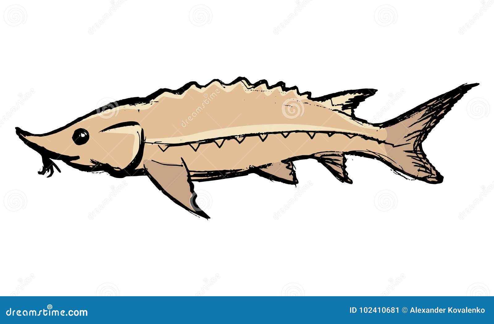 Sturgeon Freshwater Fish Royalty-Free Cartoon | CartoonDealer.com