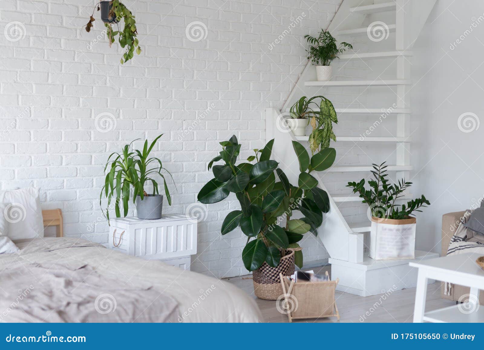Stylish Bedroom Interior Design with Pot Plants Stock Photo - Image of home, domestic: 175105650