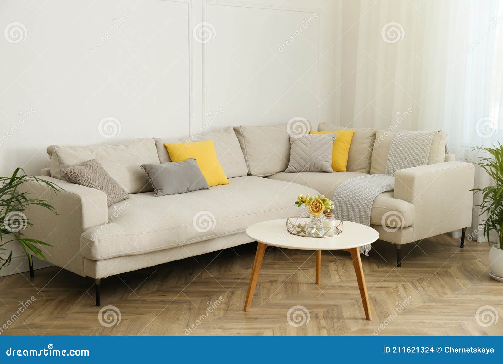 Stylish Beige Sofa in Living Room Interior Stock Photo Image of