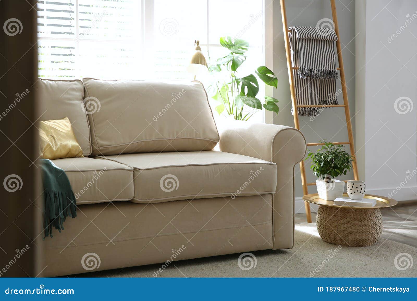 Stylish Beige Sofa in Modern Living Room Stock Photo Image of