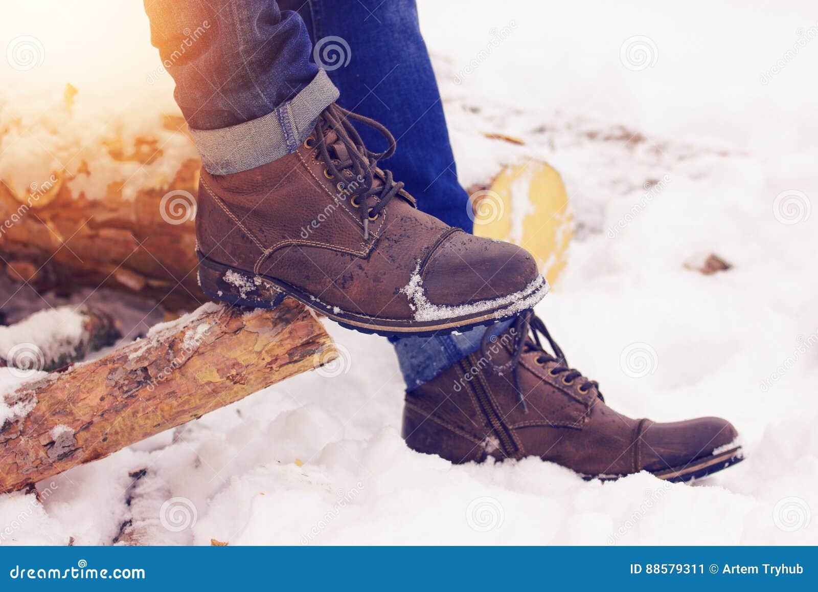 Stylish and Fashionable Shoes Standing on the Woods. Early Spring ...