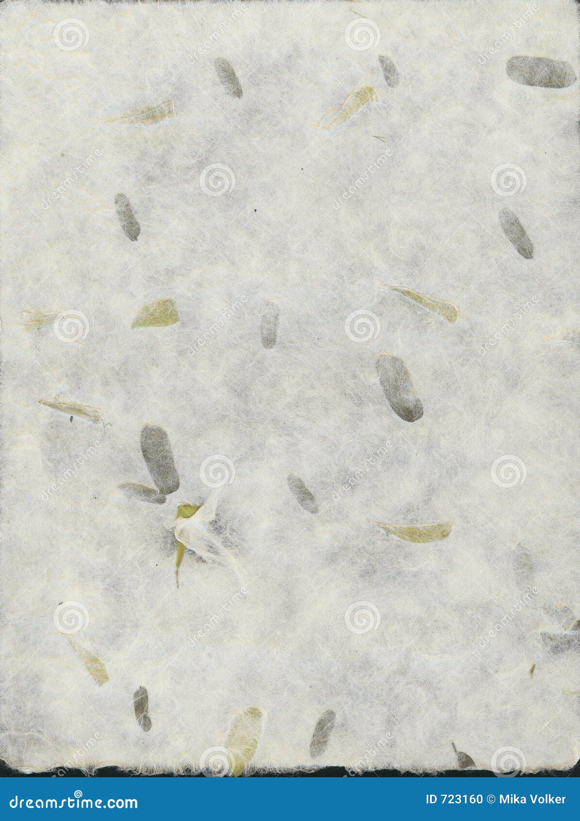 stylish flower paper texture abstract stock photo image of flower embedded paper